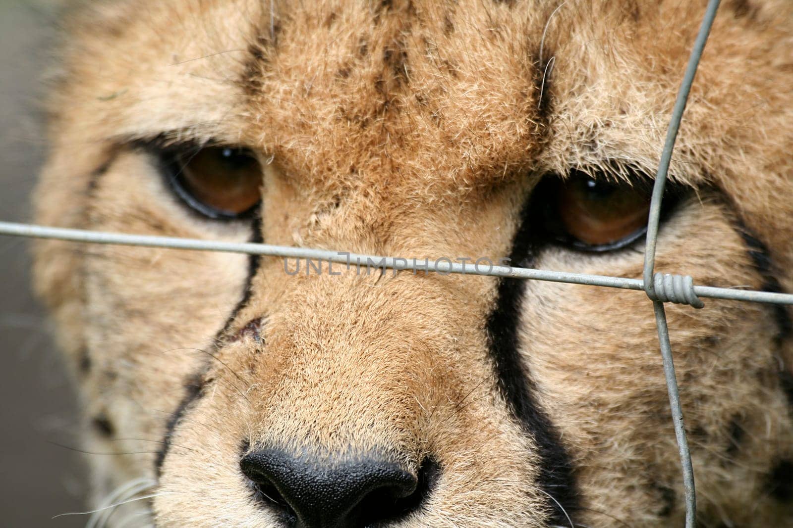 Innocent behind bars