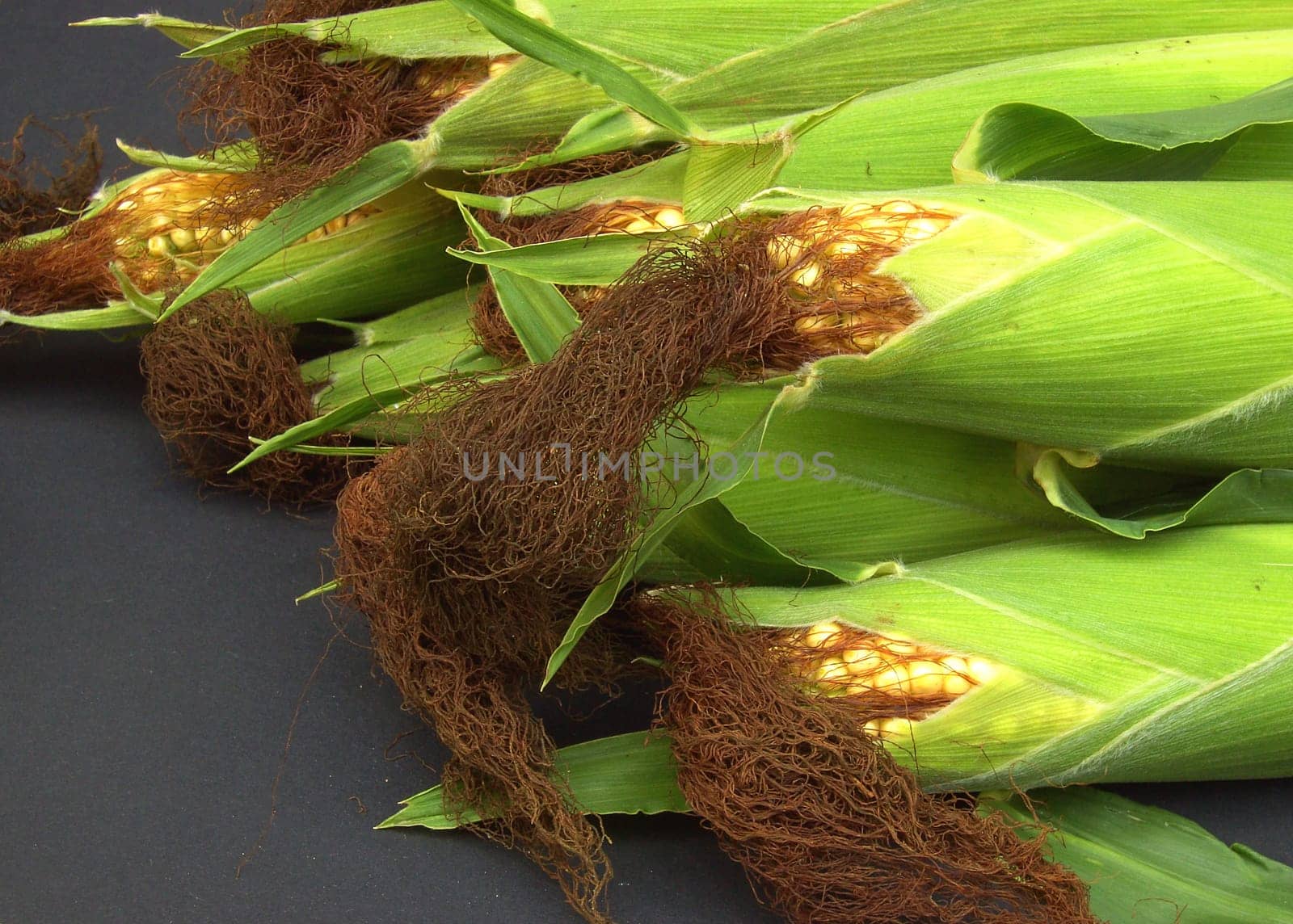 Corn 02