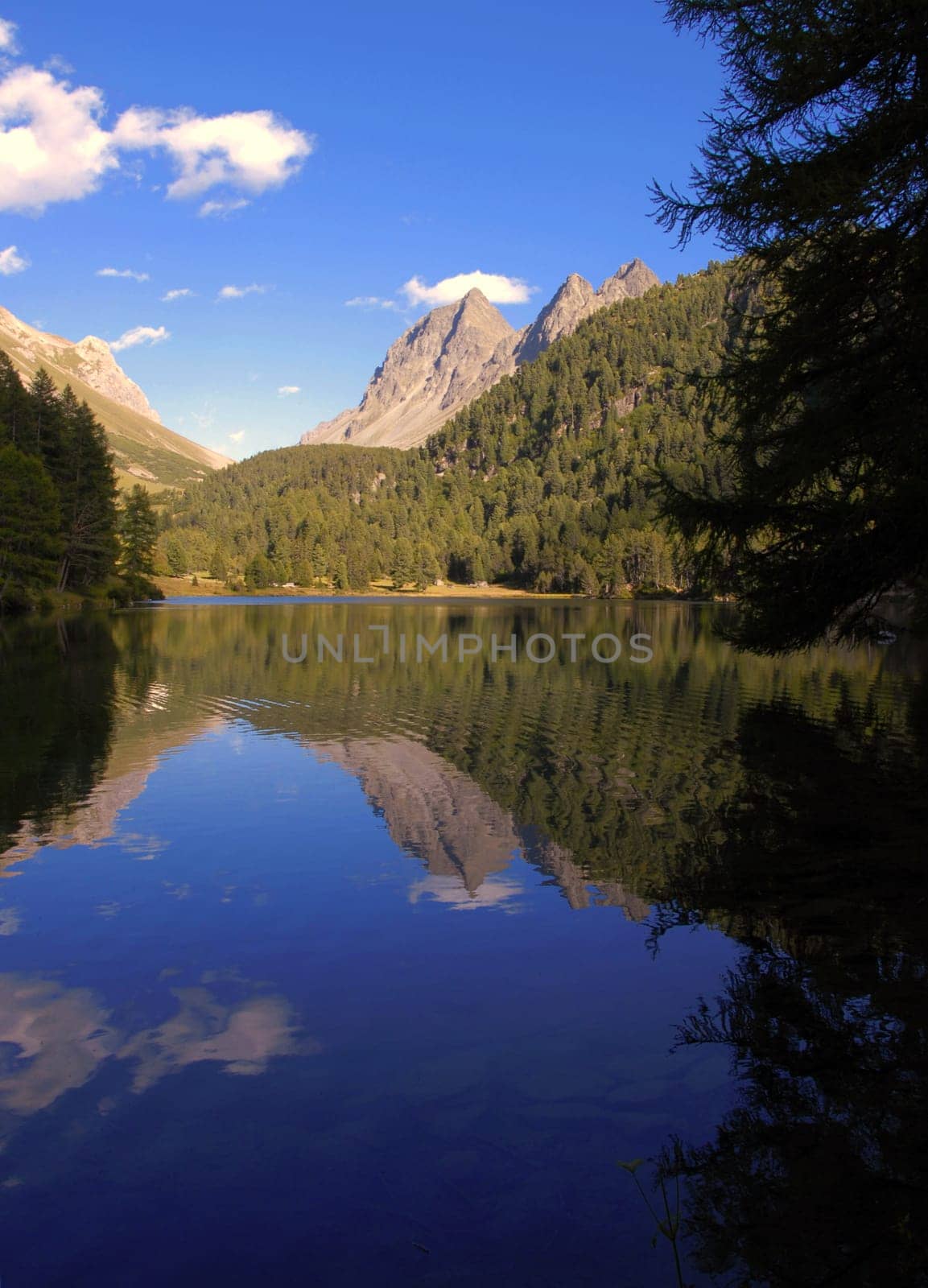 The "most beautiful spot in Switzerland""... is located in Graubünden. Preda is located directly on the famous Albula line of the Rhaetian Railway. From there you can reach the picturesque Lake Palpuogna on foot in half an hour."