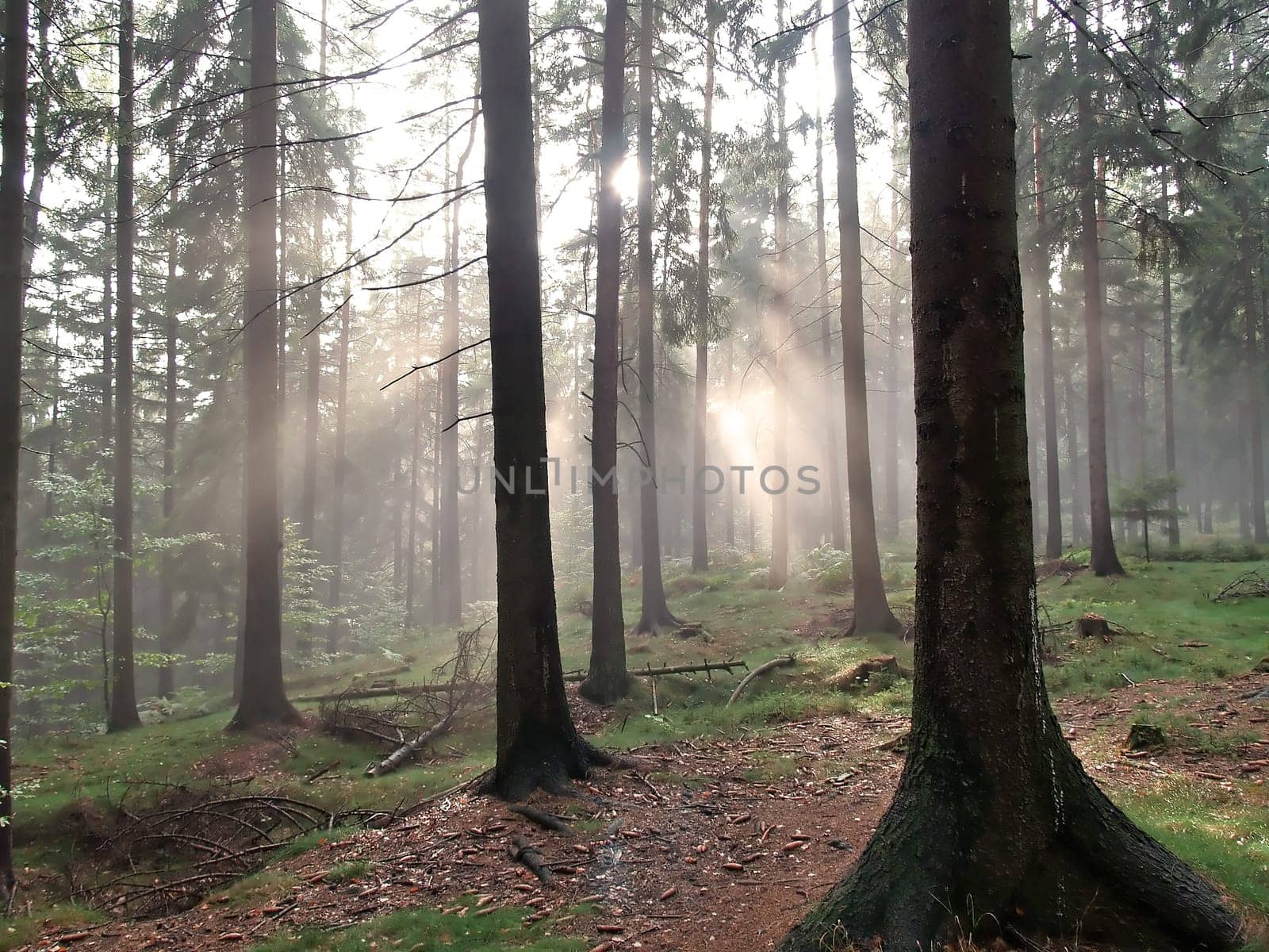 Bright spot