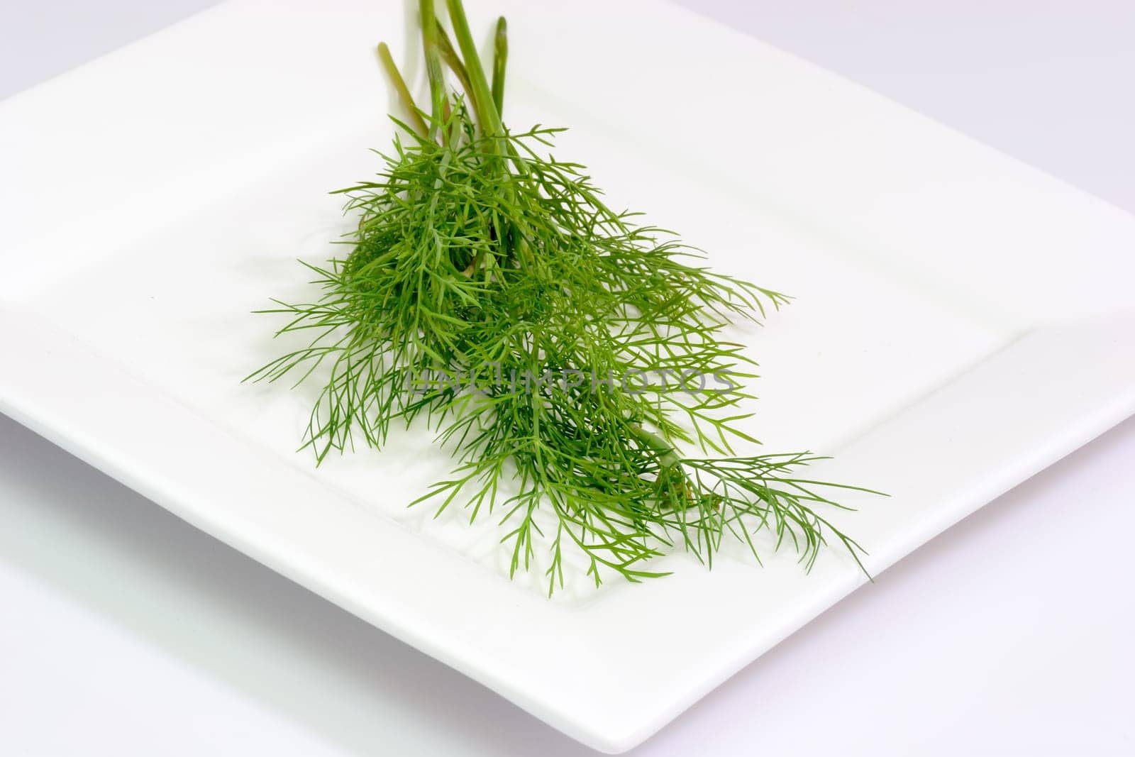 Salad herbs