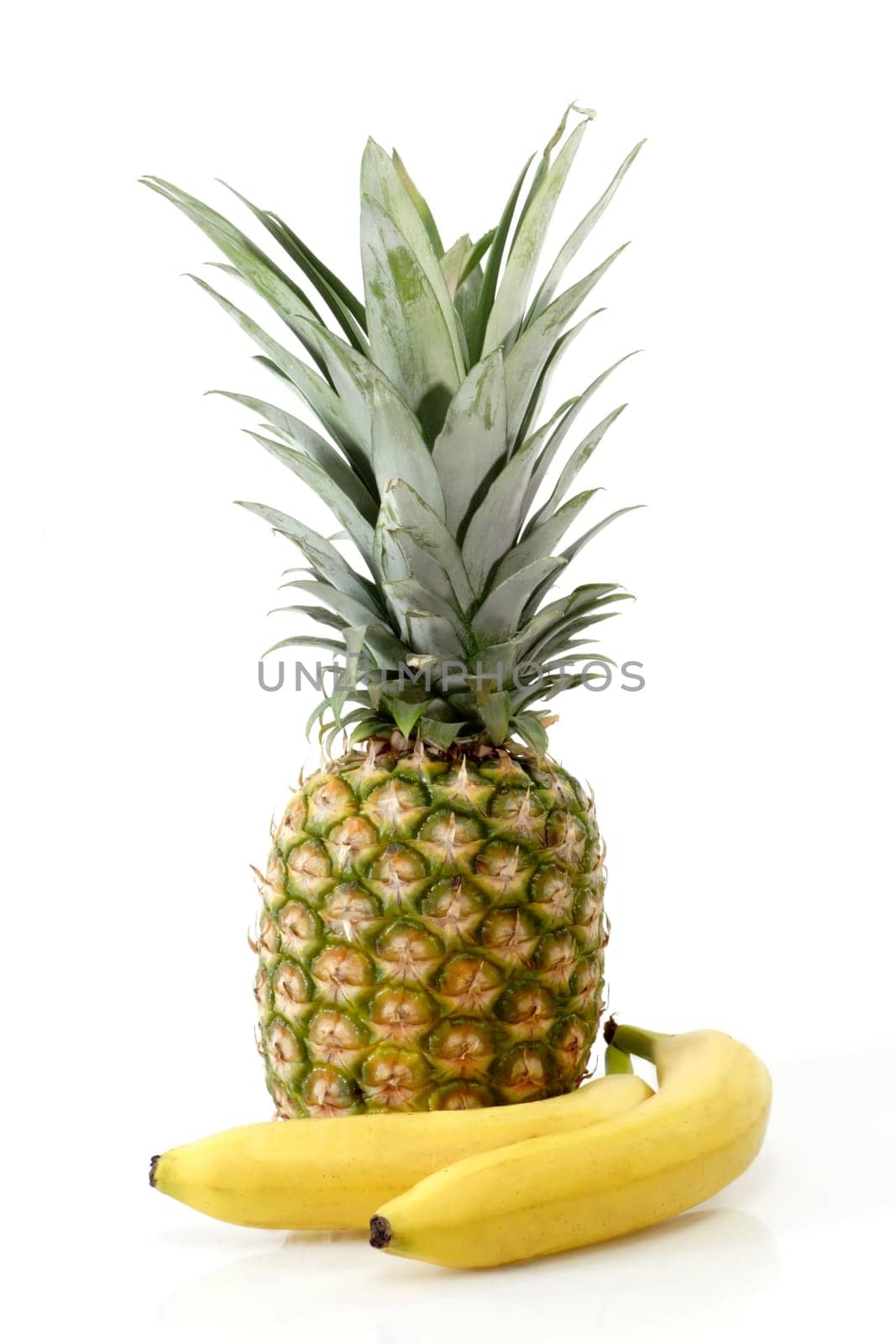 Southern fruits