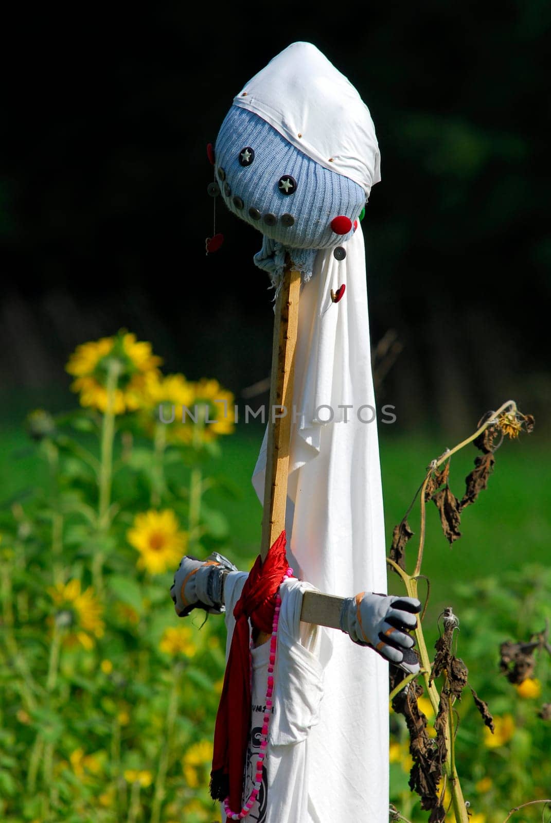 Scarecrow