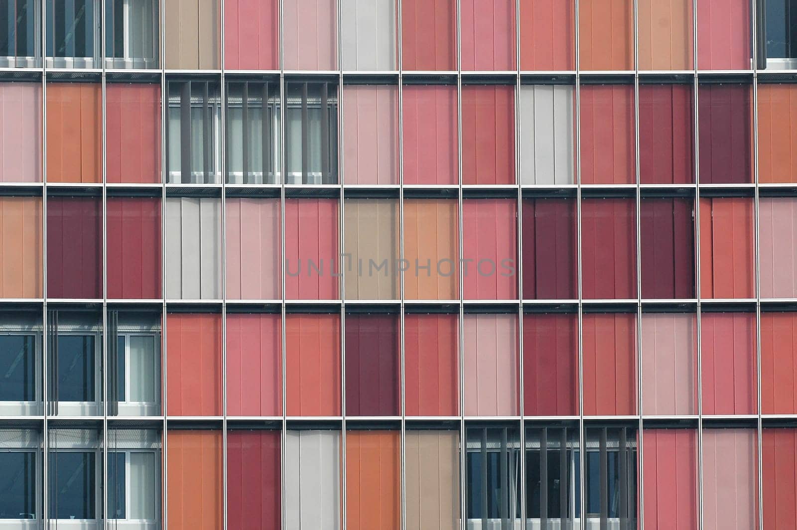 Window