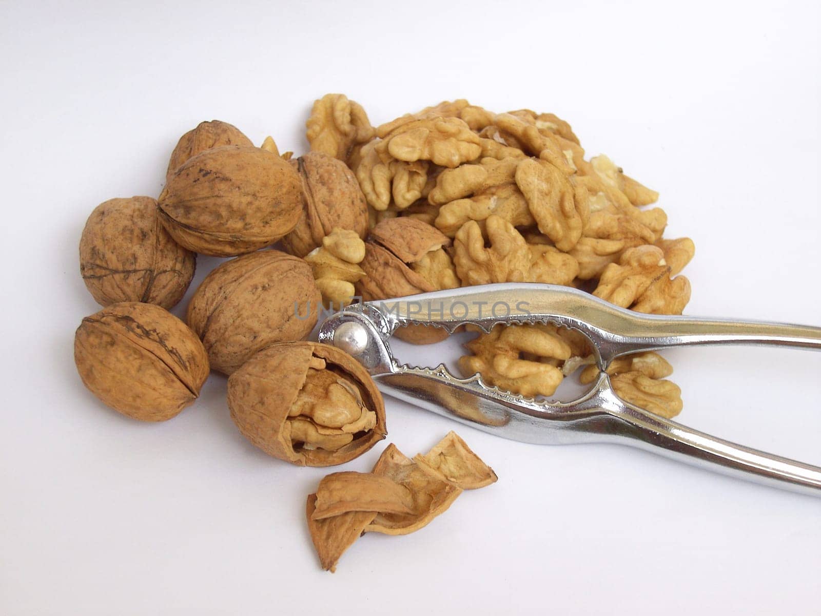 Walnut 06