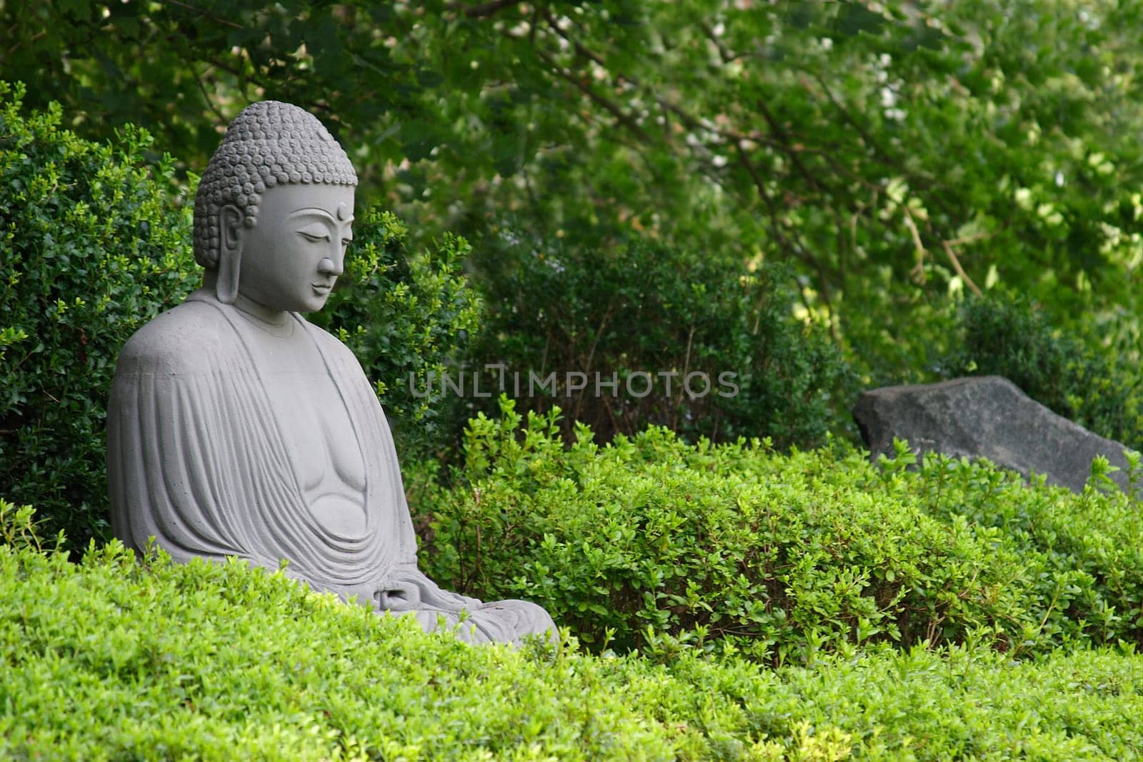 Buddha