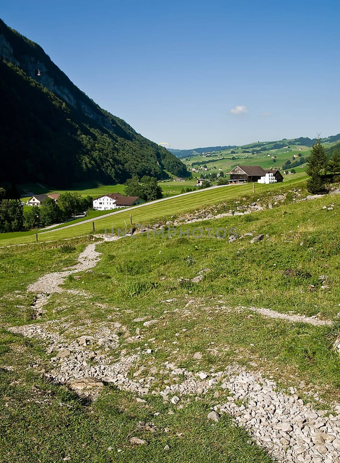 To the Alpenrose