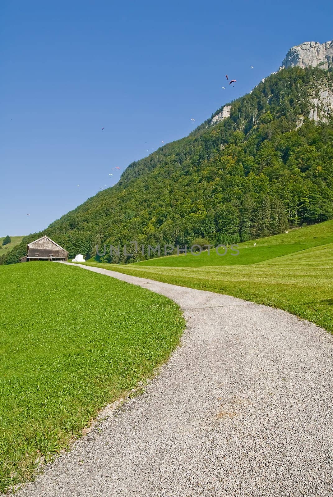 Path to the alpine huts