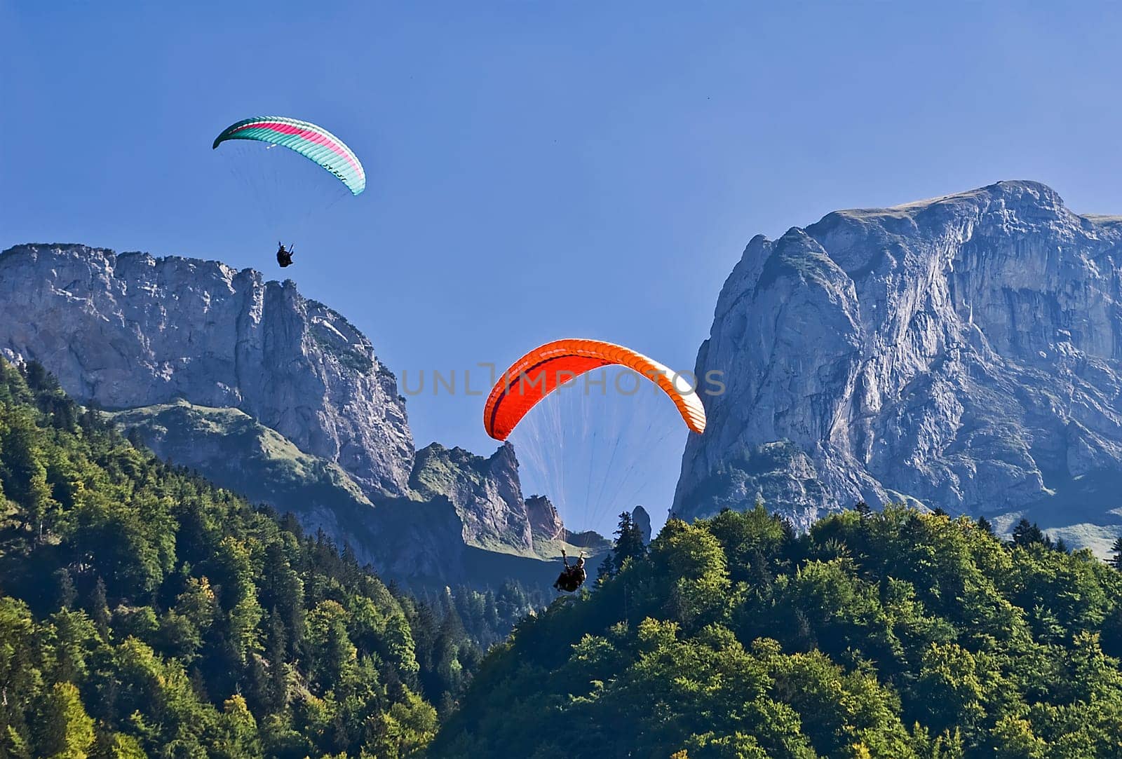Paragliding at Alp Sigel