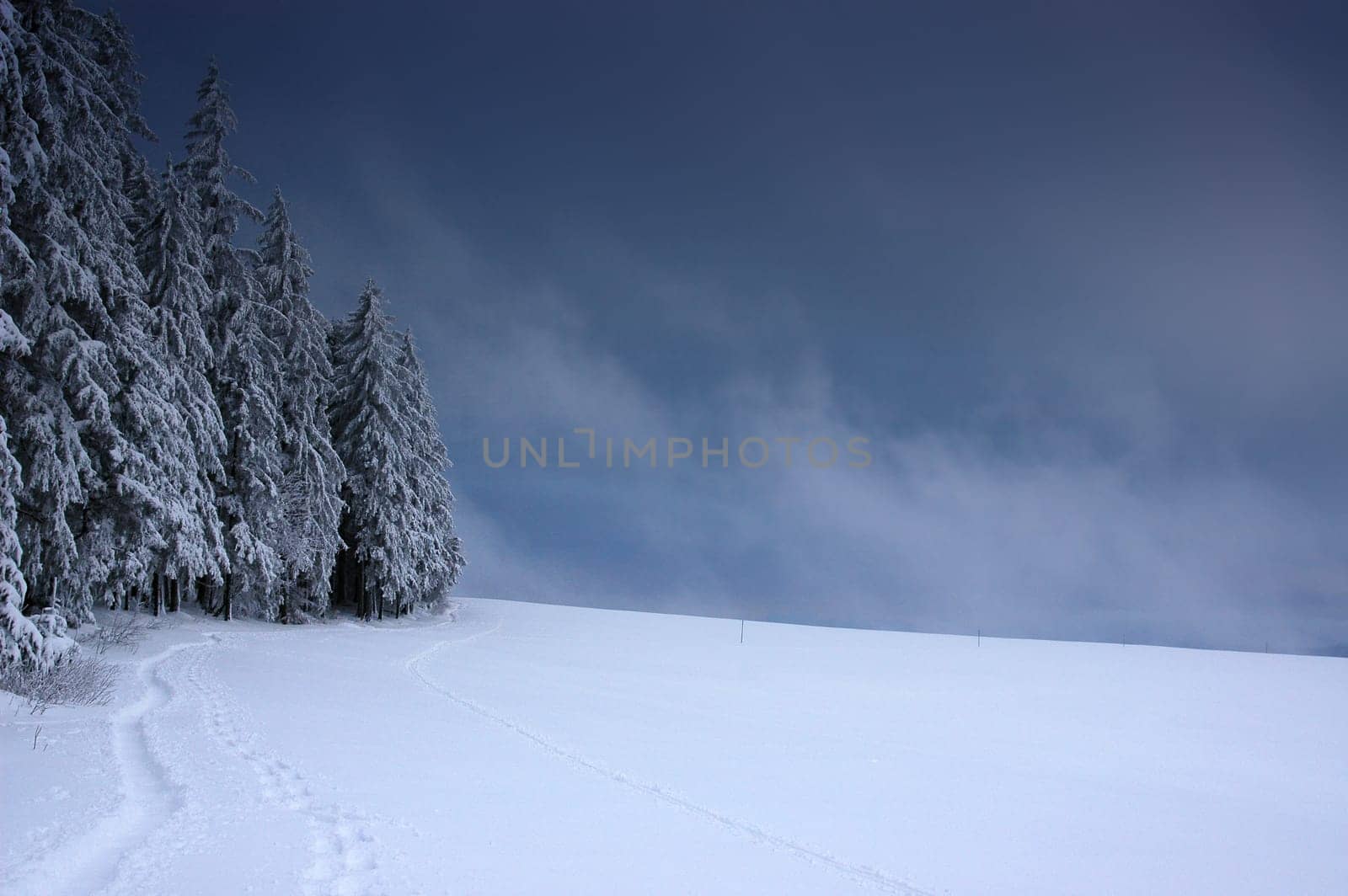 Winter Landscape 33