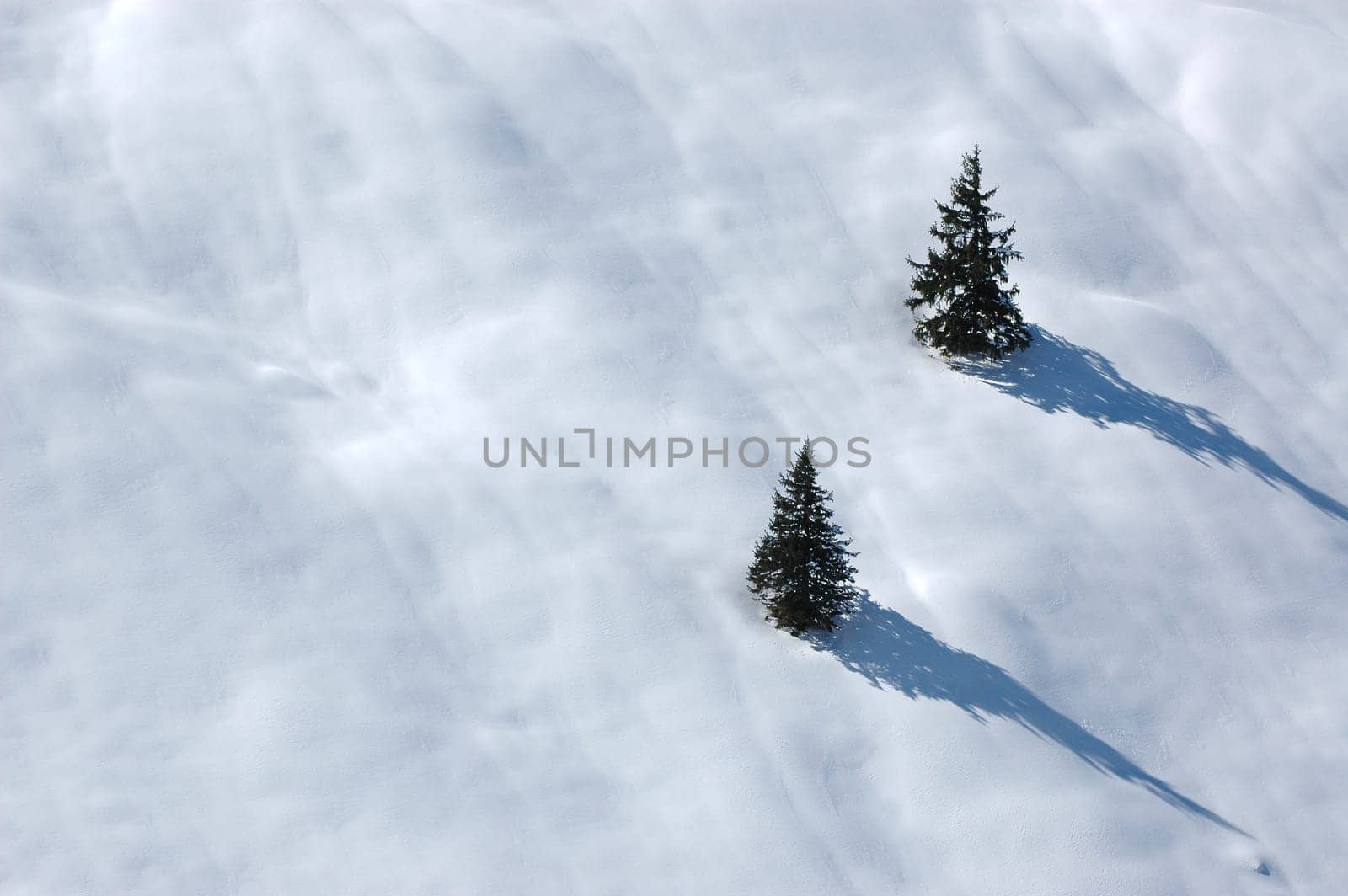 Winter Landscape 34