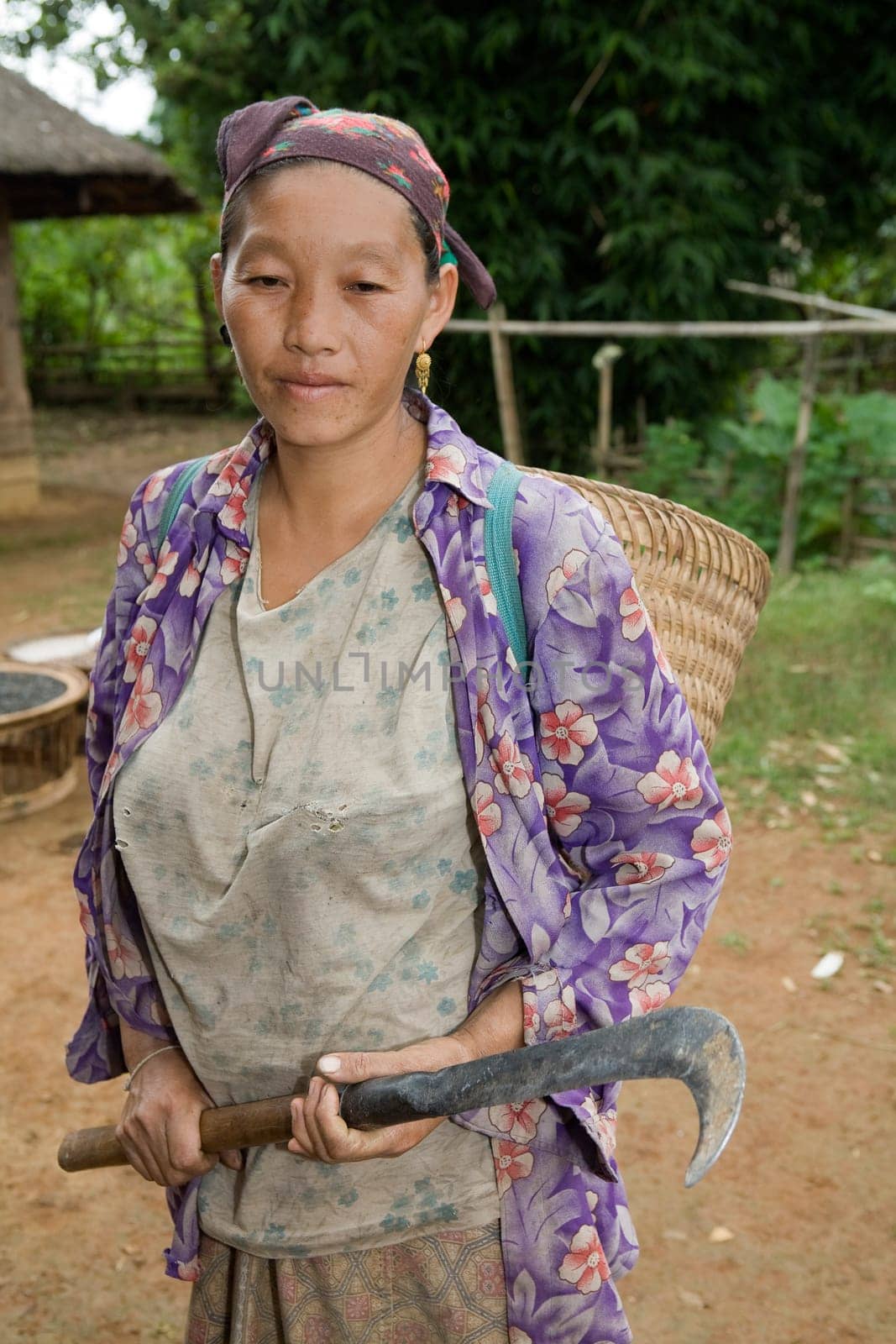 Hmong woman with sickle