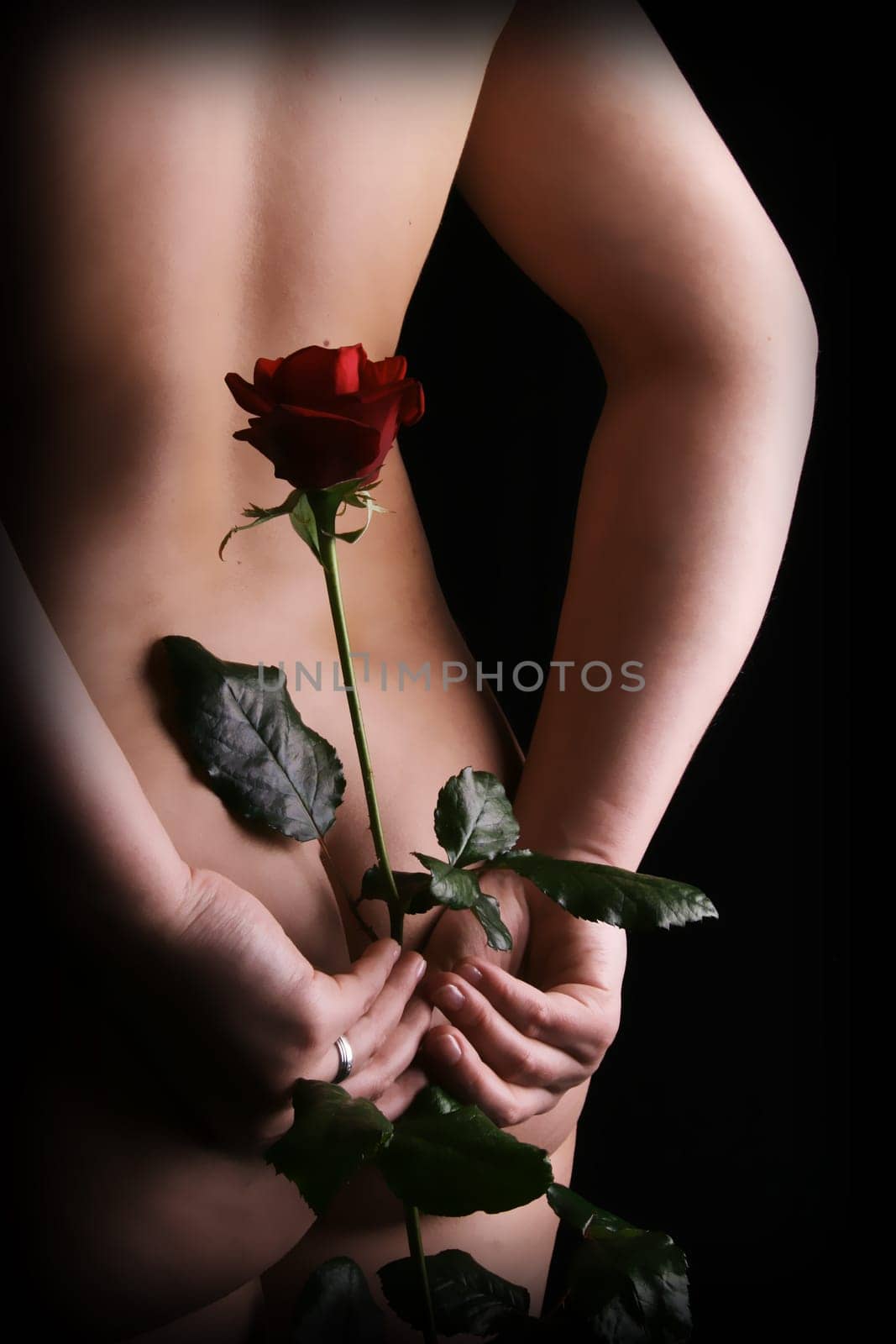 Red rose hidden behind a back