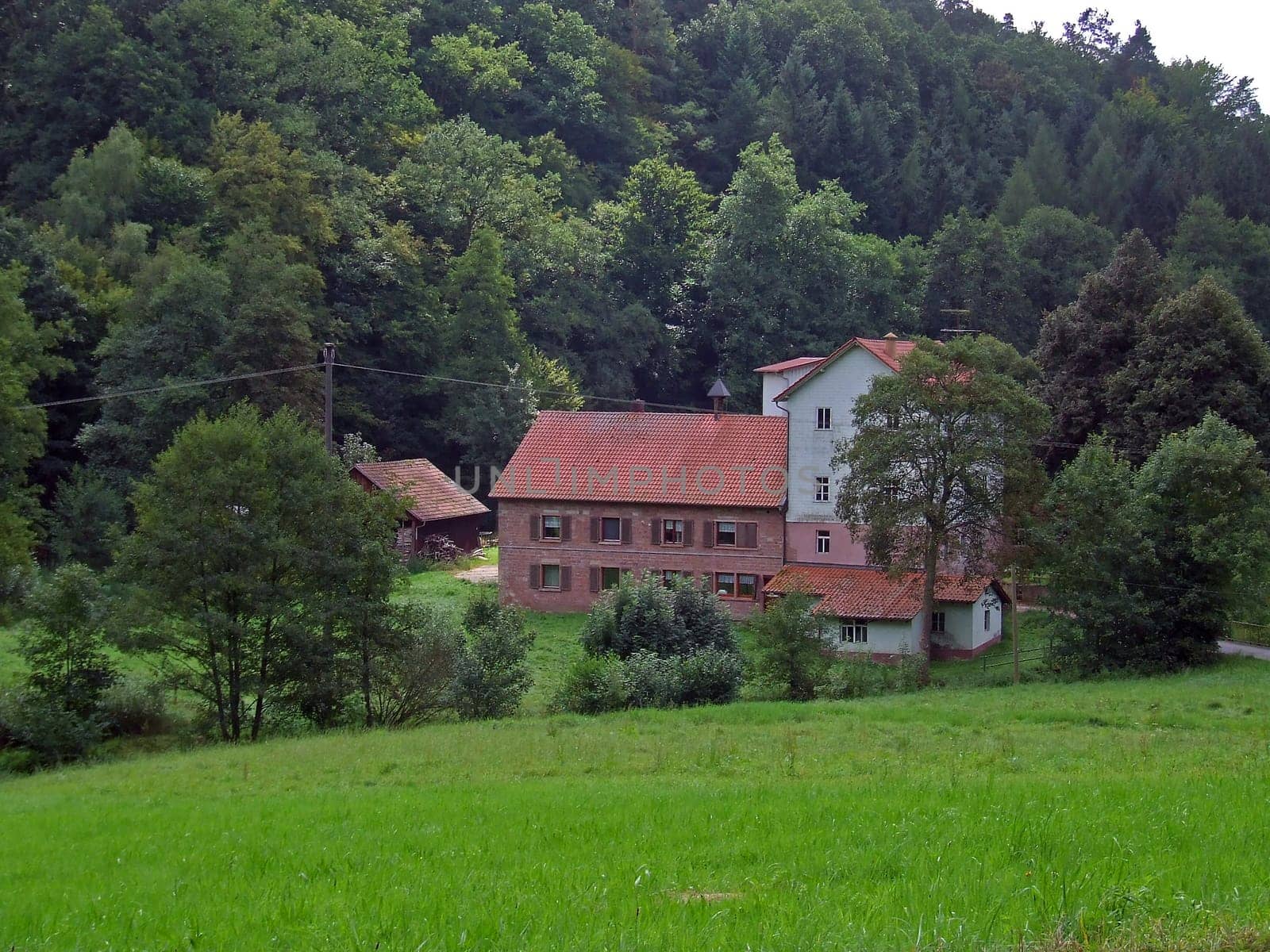 This is where flour is produced,here in the Odenwald