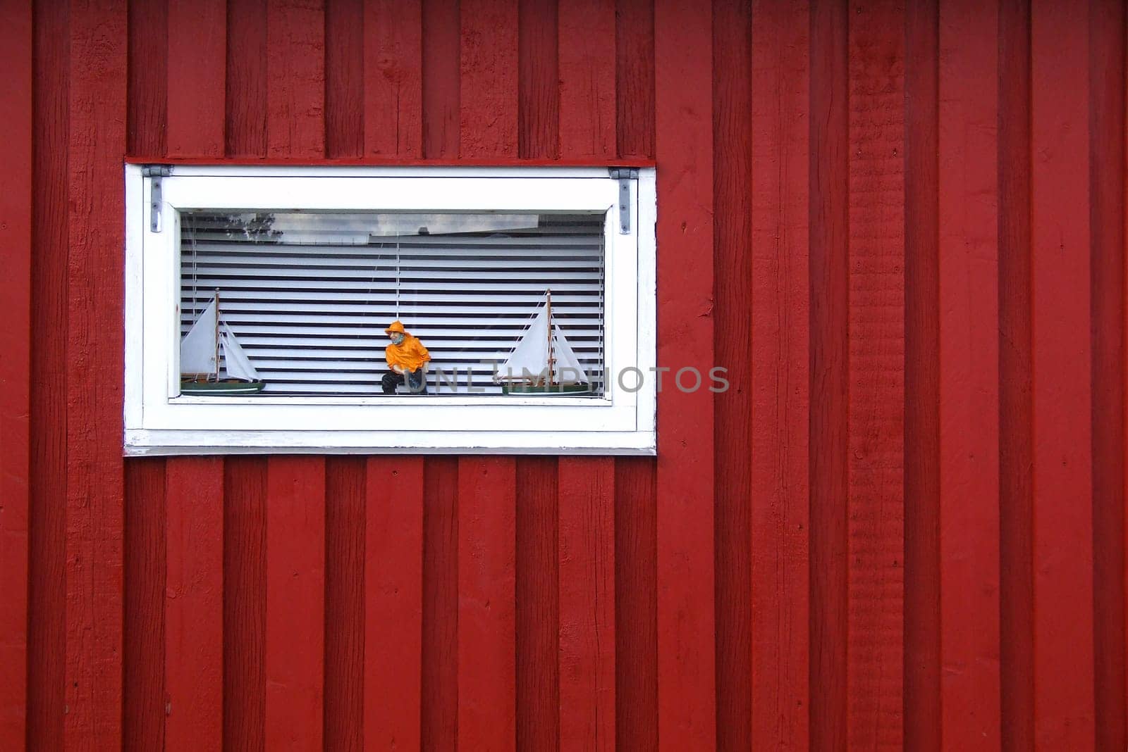 Window