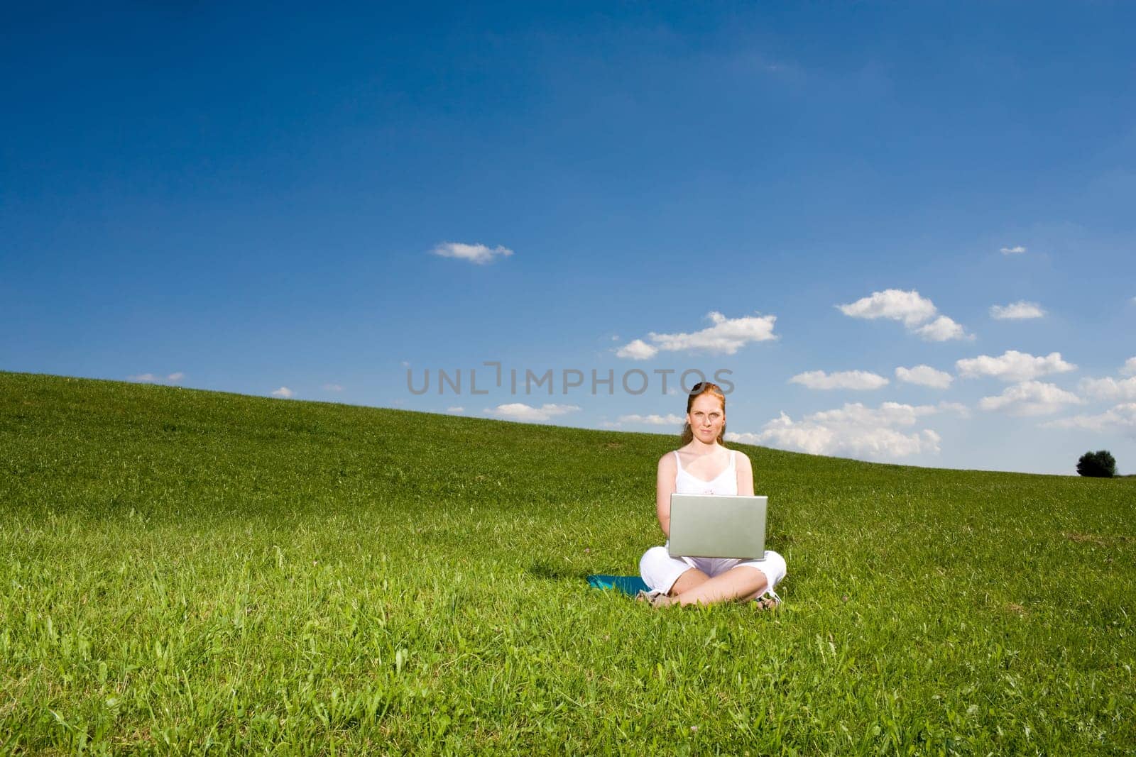 On the summer meadow at the notebook