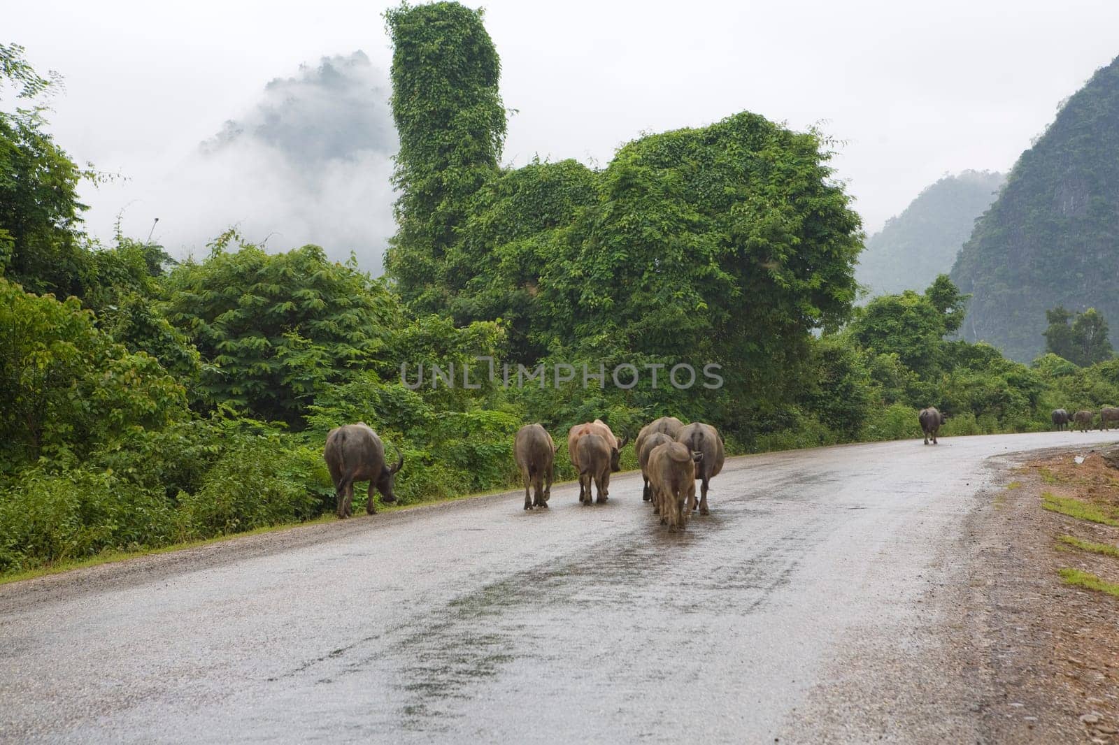 Highway in Laos