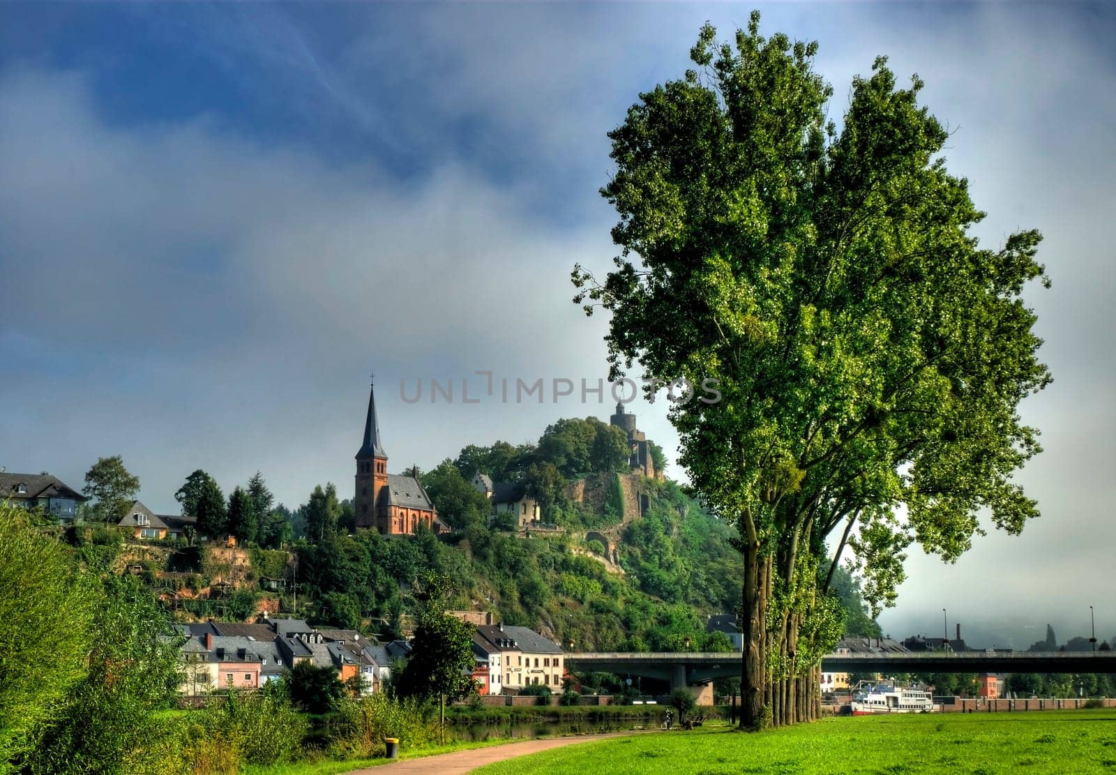 The 12 trees in the foreground are called the 12 apostles in Saarburg.