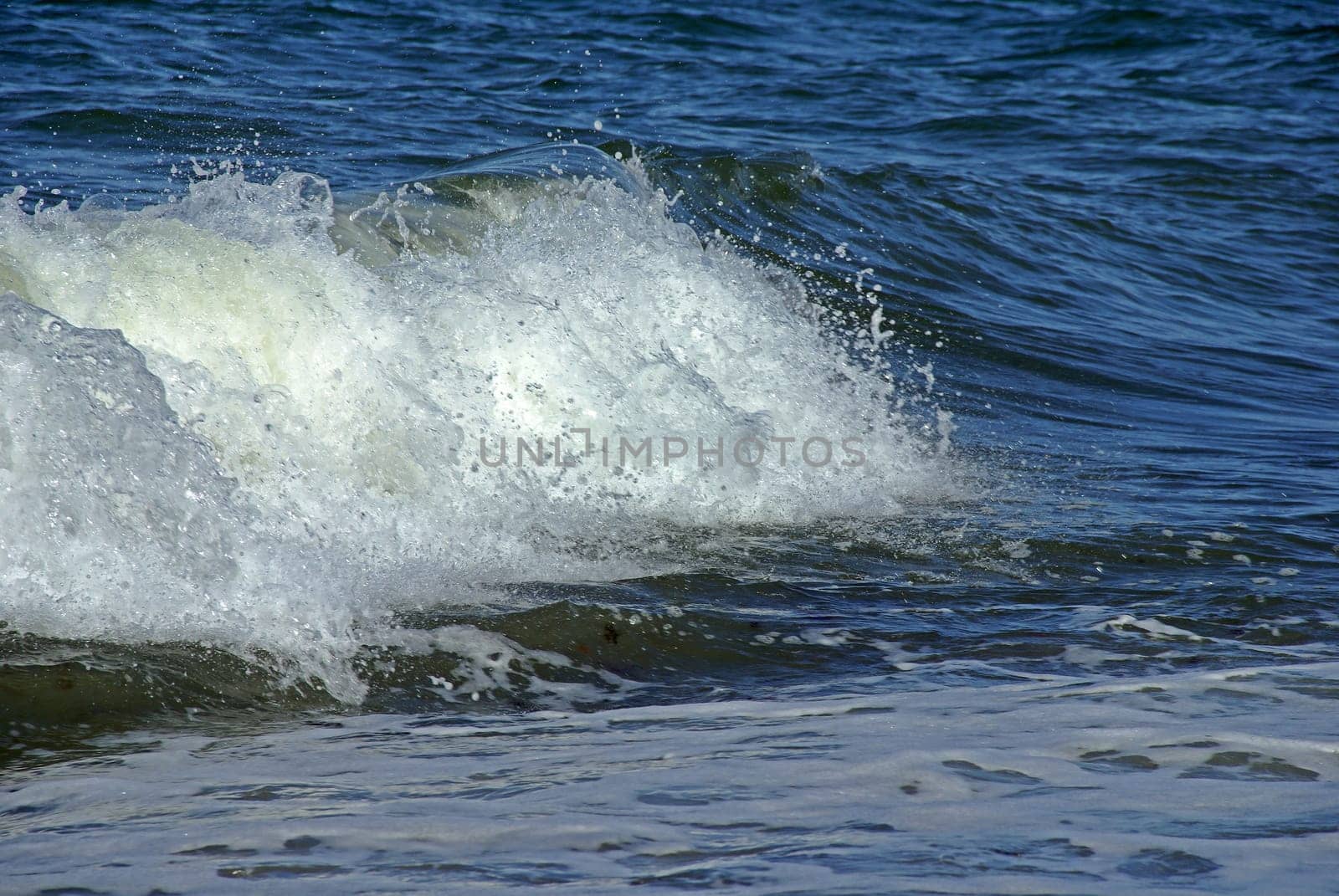 I'm always fascinated by beautiful surf waves