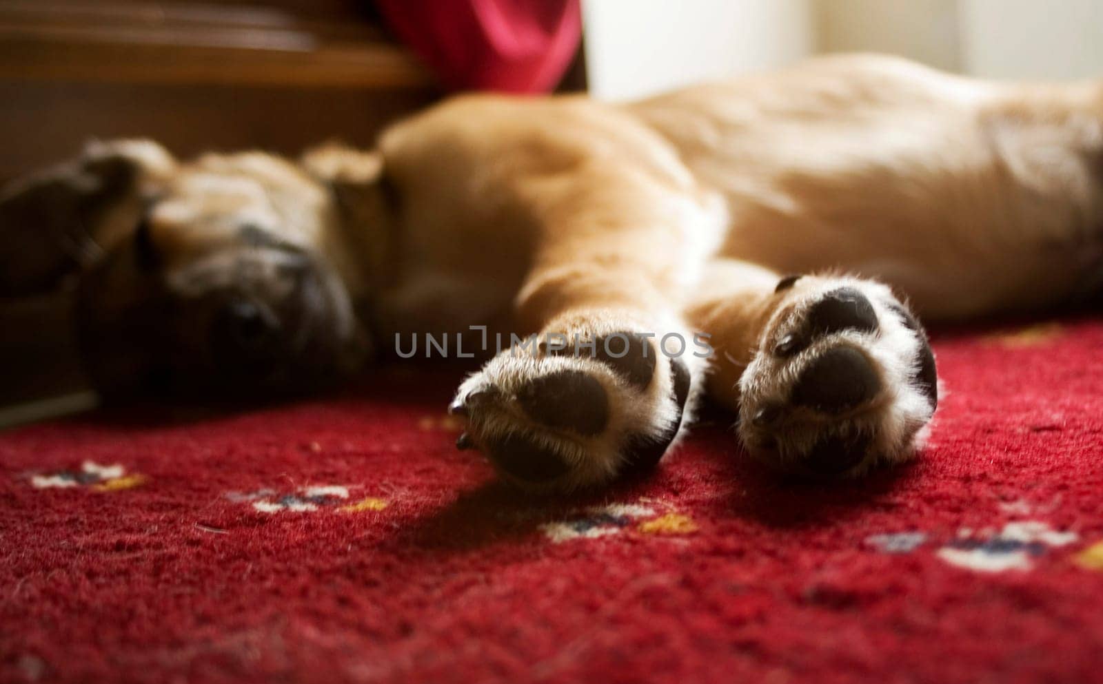 Doze...
