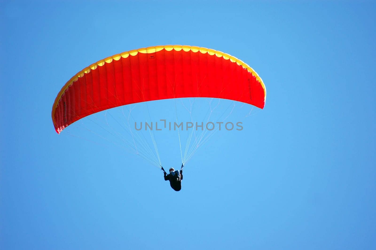 Paraorangeyellow2