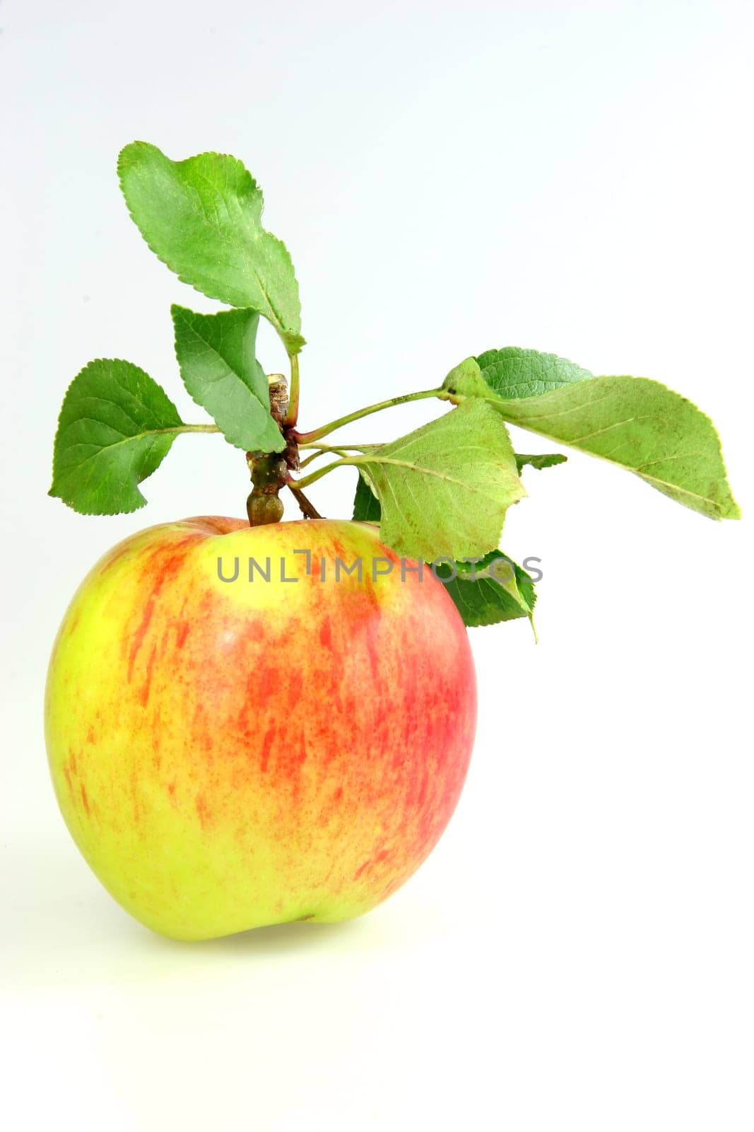 Apfel