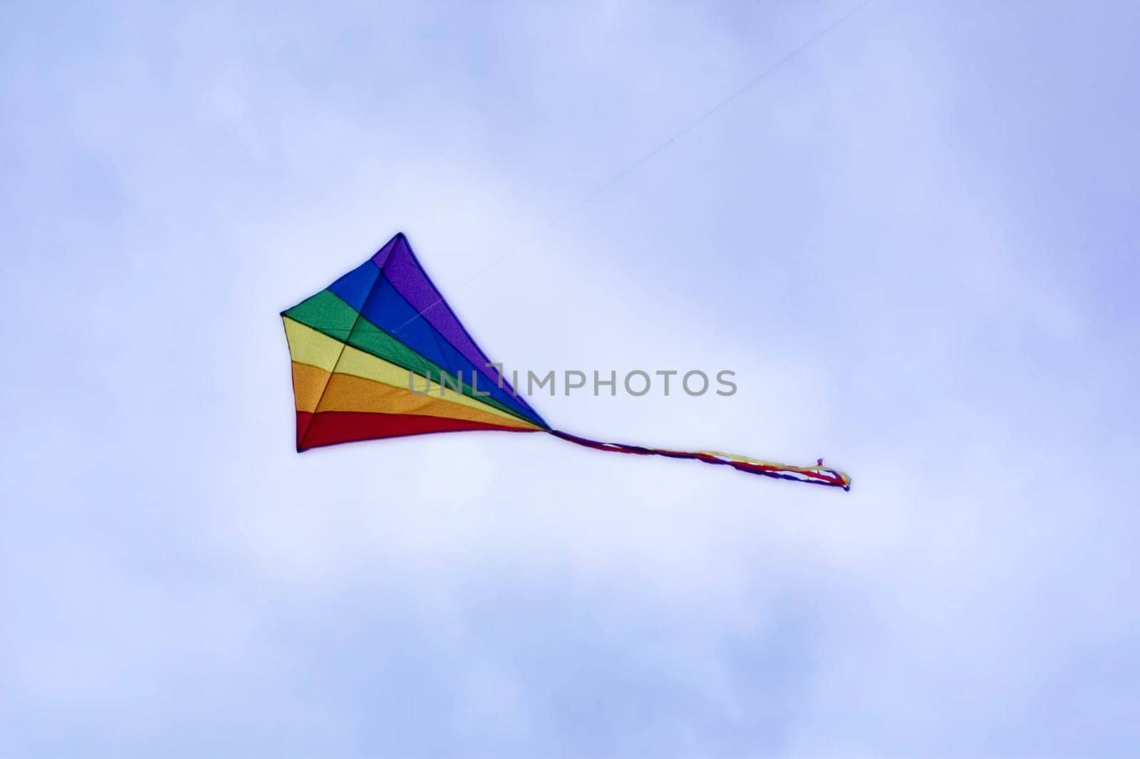 Kite