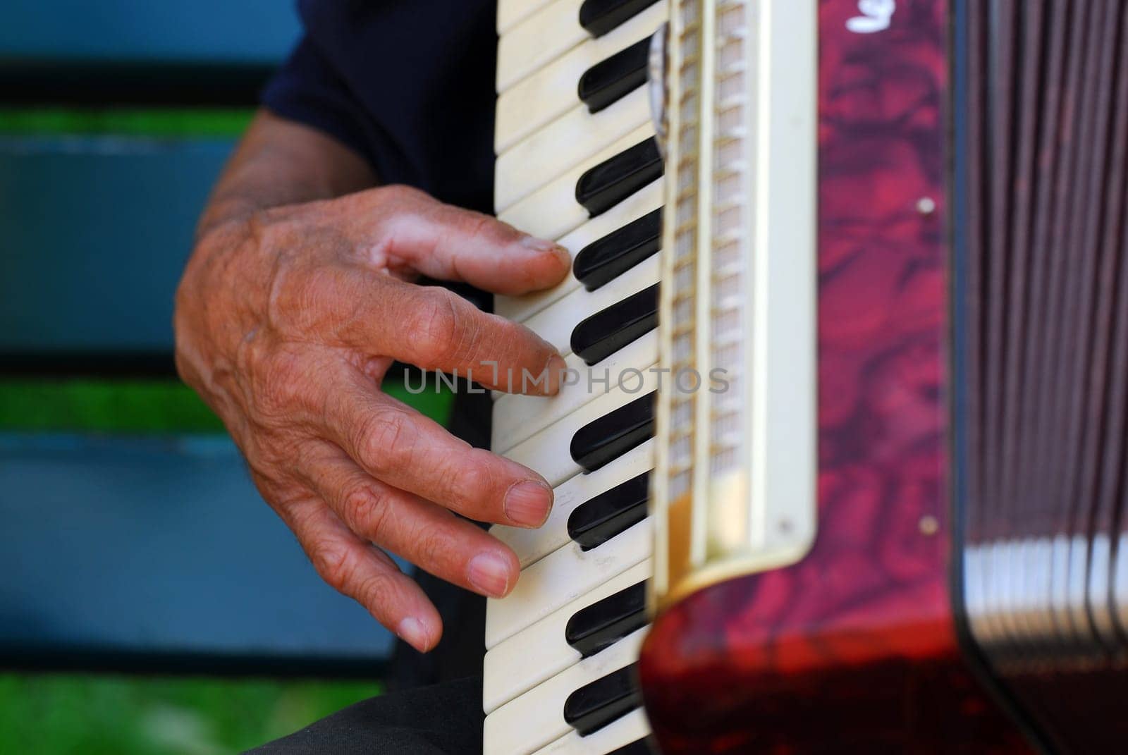 Accordion