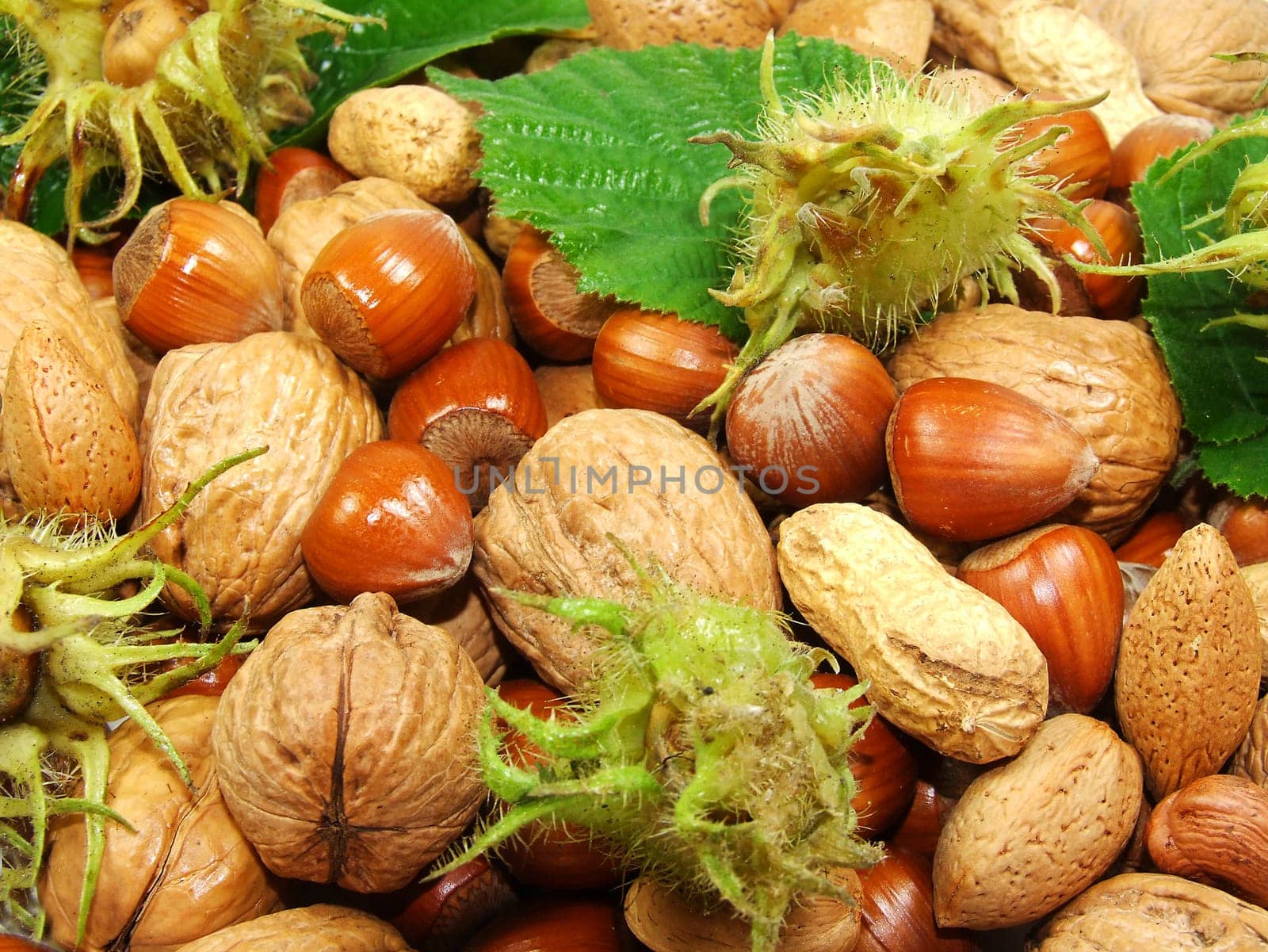 Nuts
