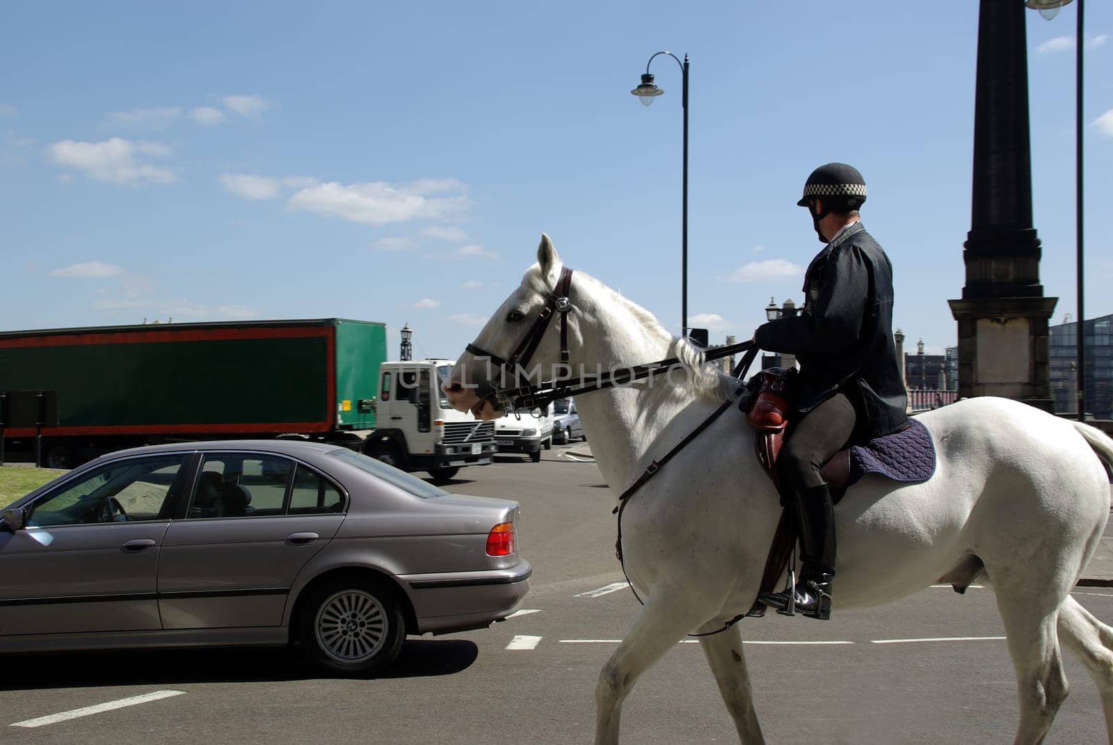 Everything under control - policeman on horseback