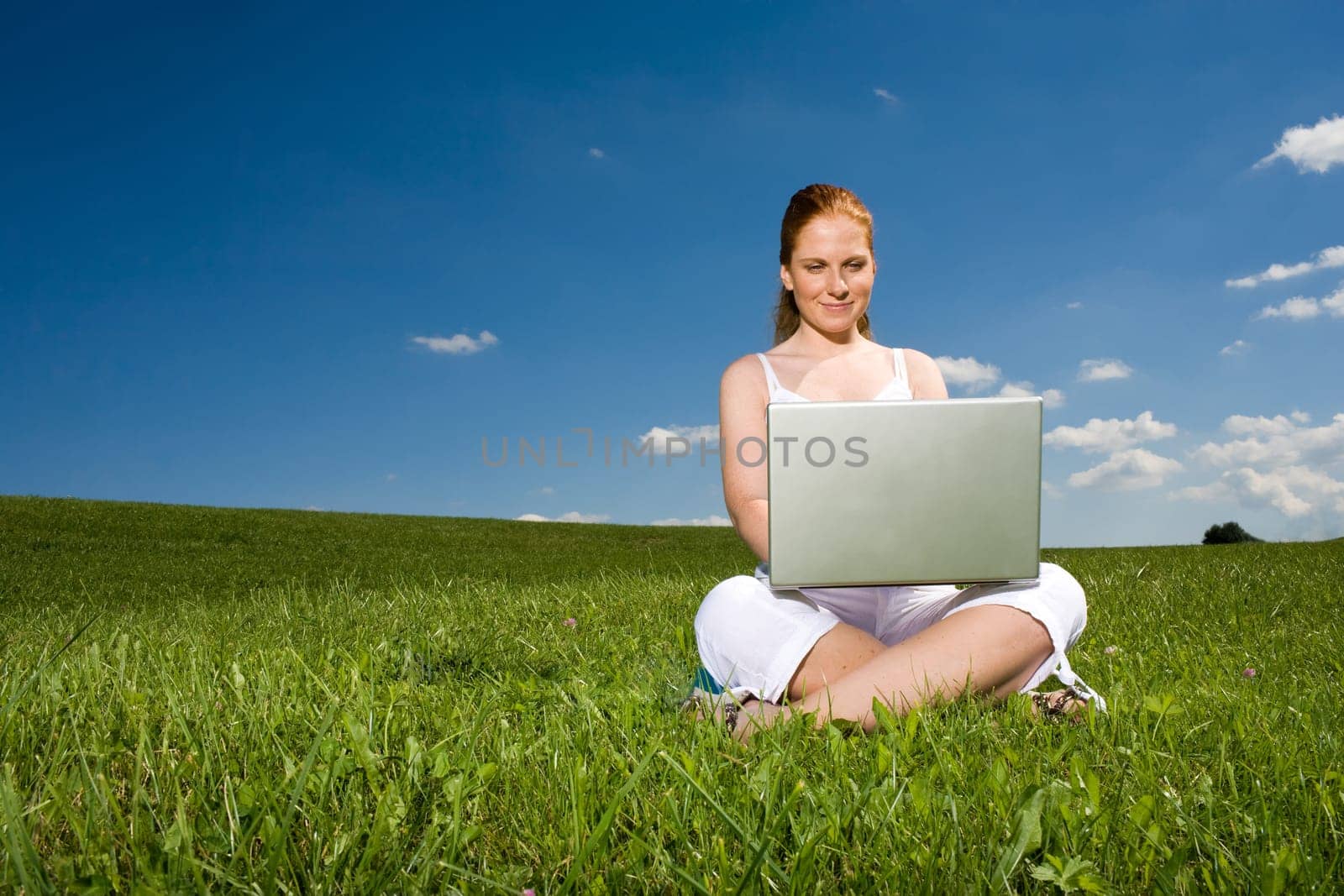 On summer meadow on laptop