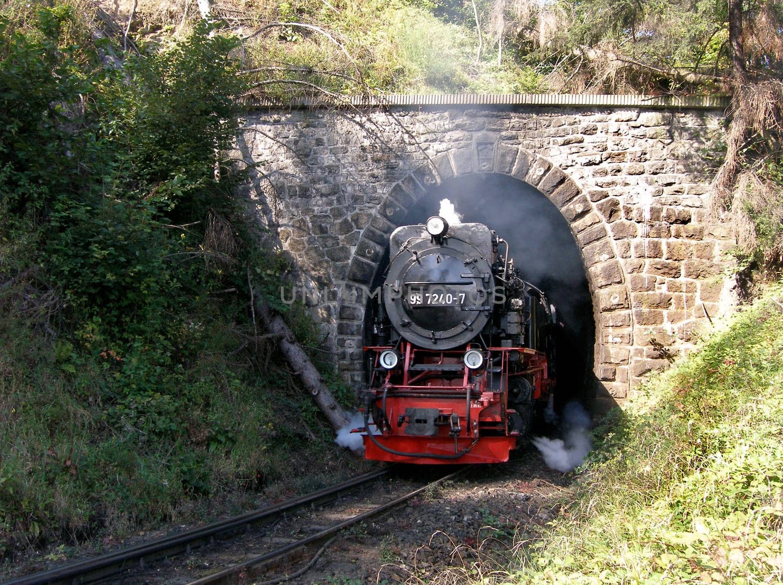 The only tunnel for narrow-gauge railways is located in the Harz Mountains. It was opened in 1887!