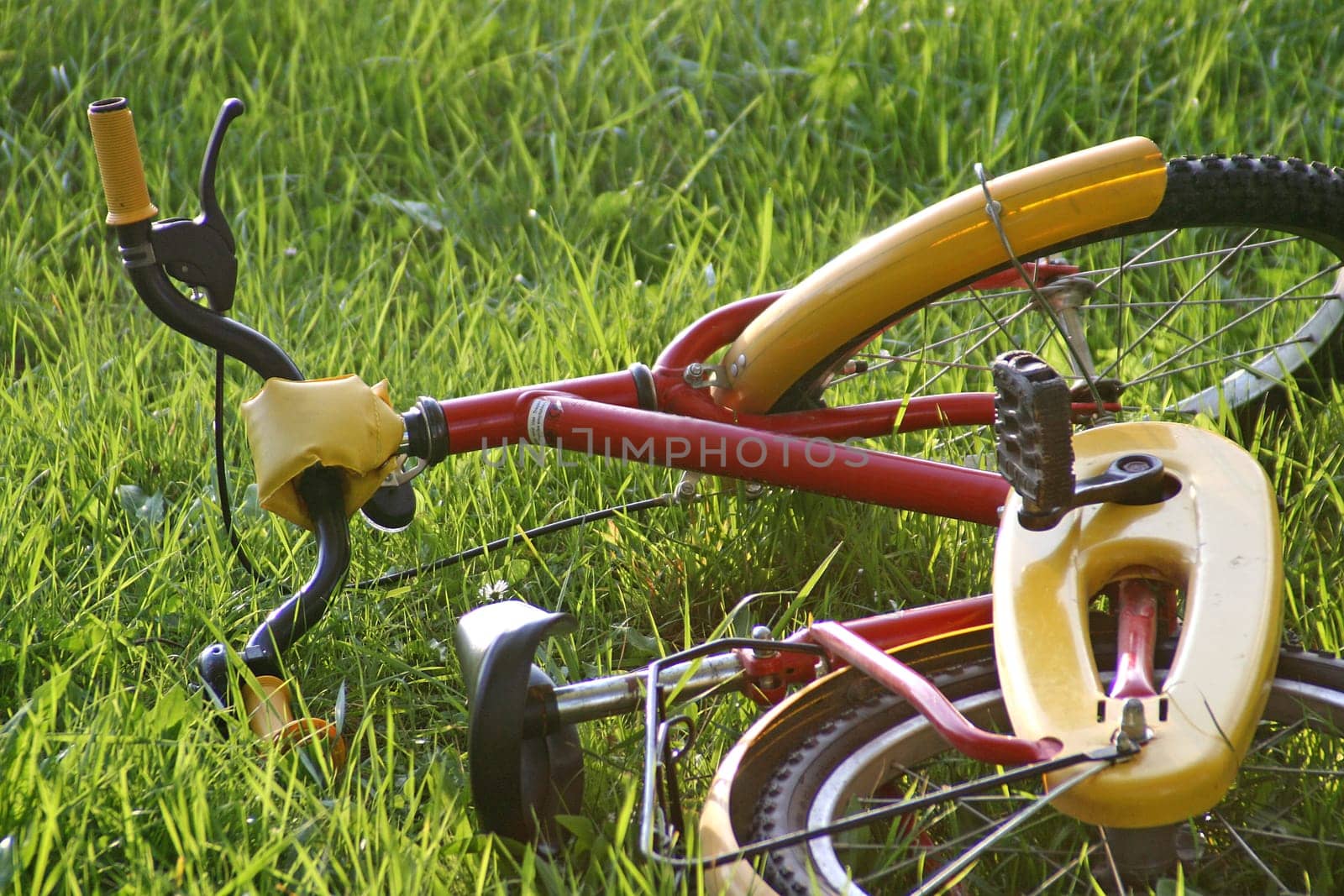 Juvenile bicycle