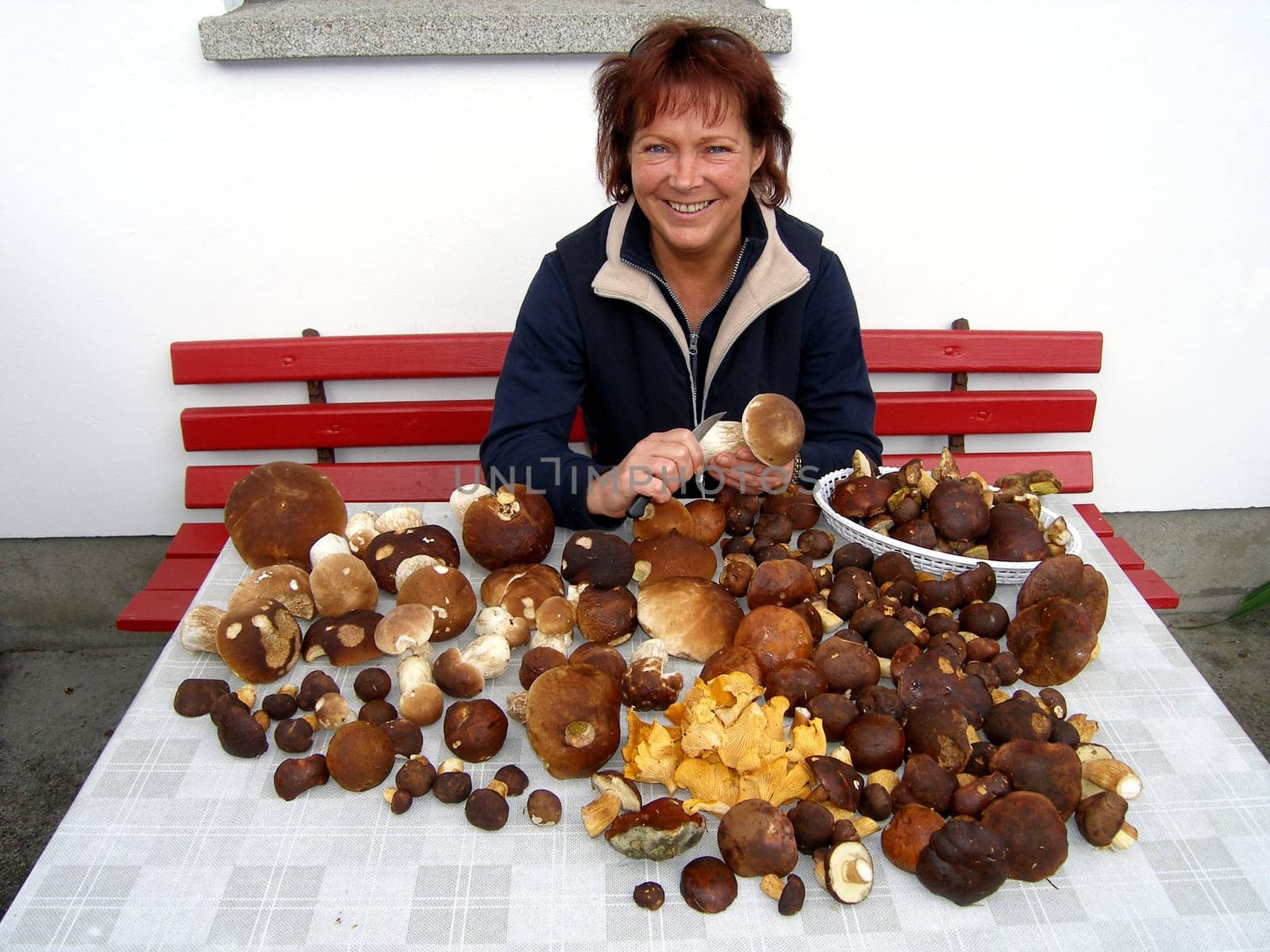 Mushroom - Time