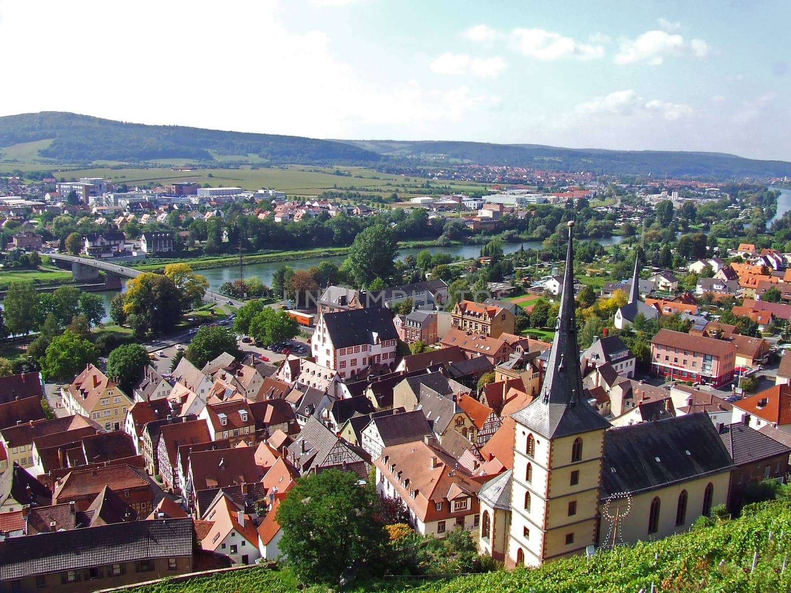 Red wine town of Klingenberg