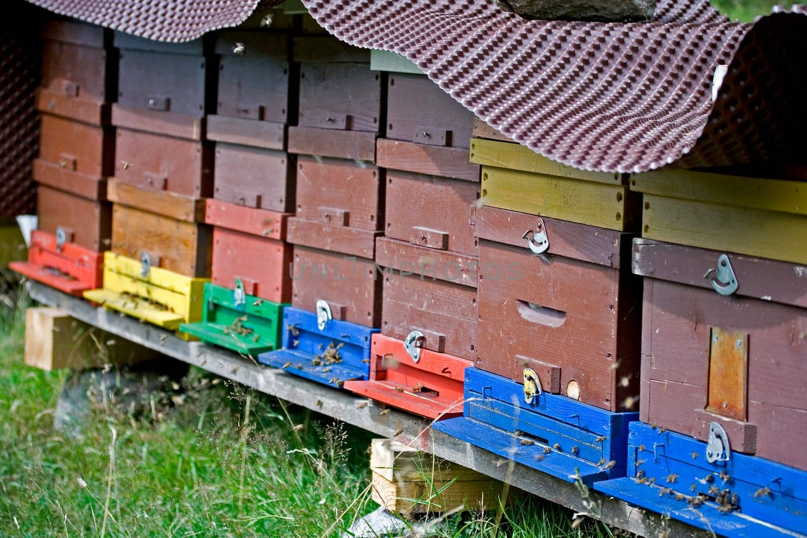 Beehive