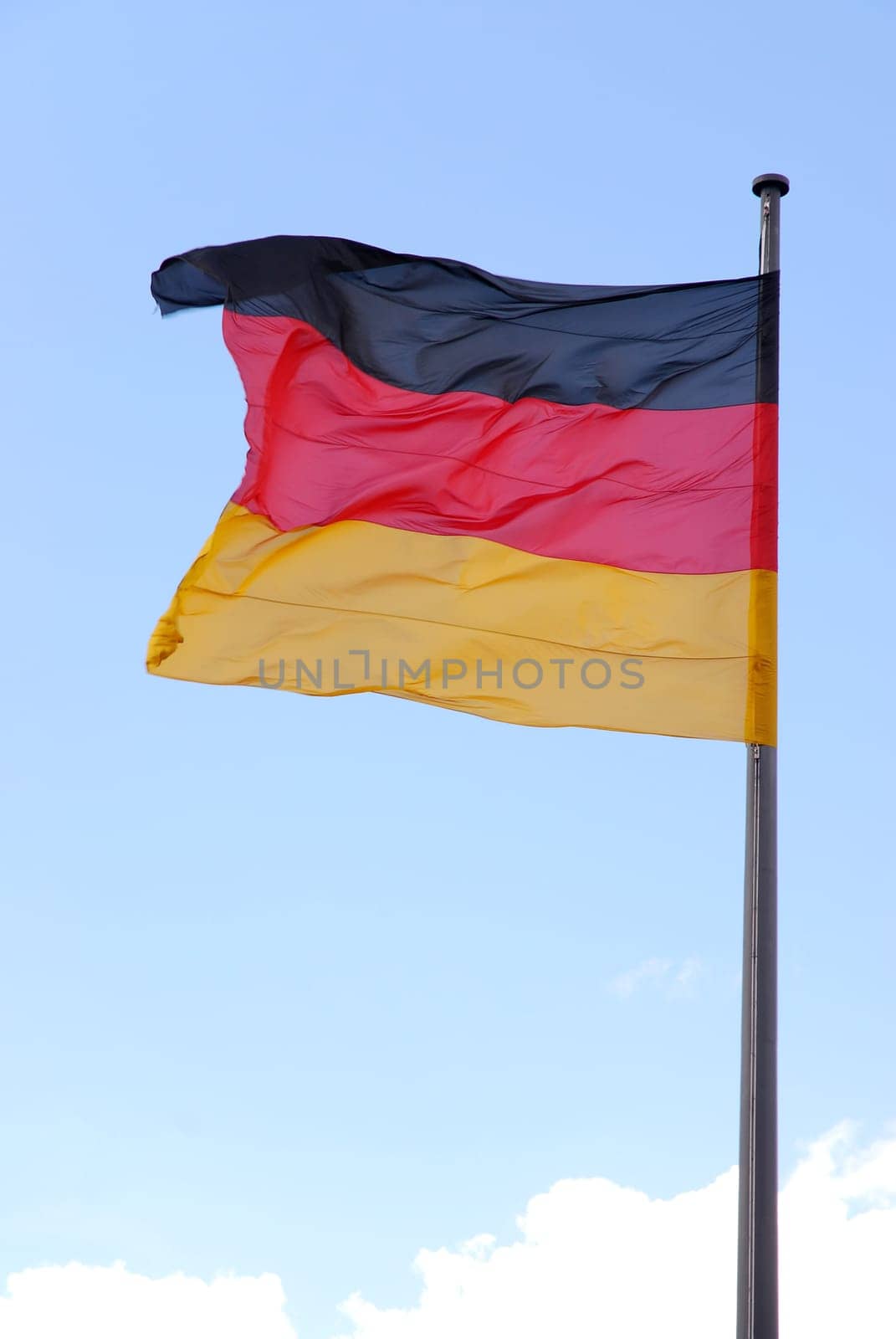 Flag in the wind