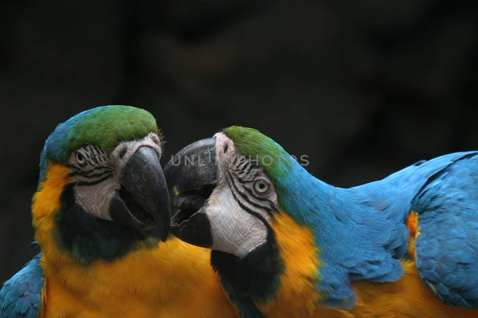 Togetherness