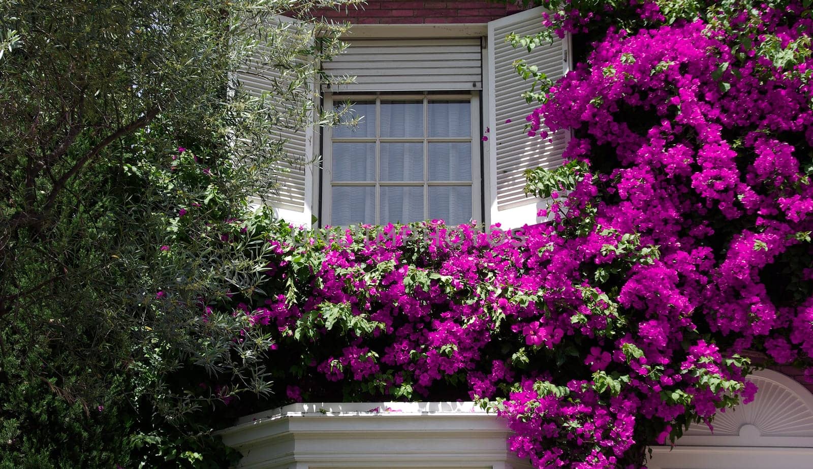 Flower window