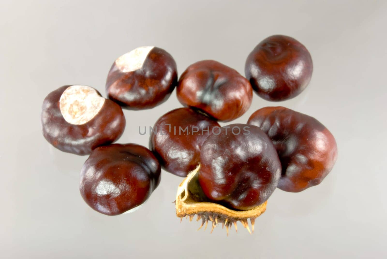 chestnuts