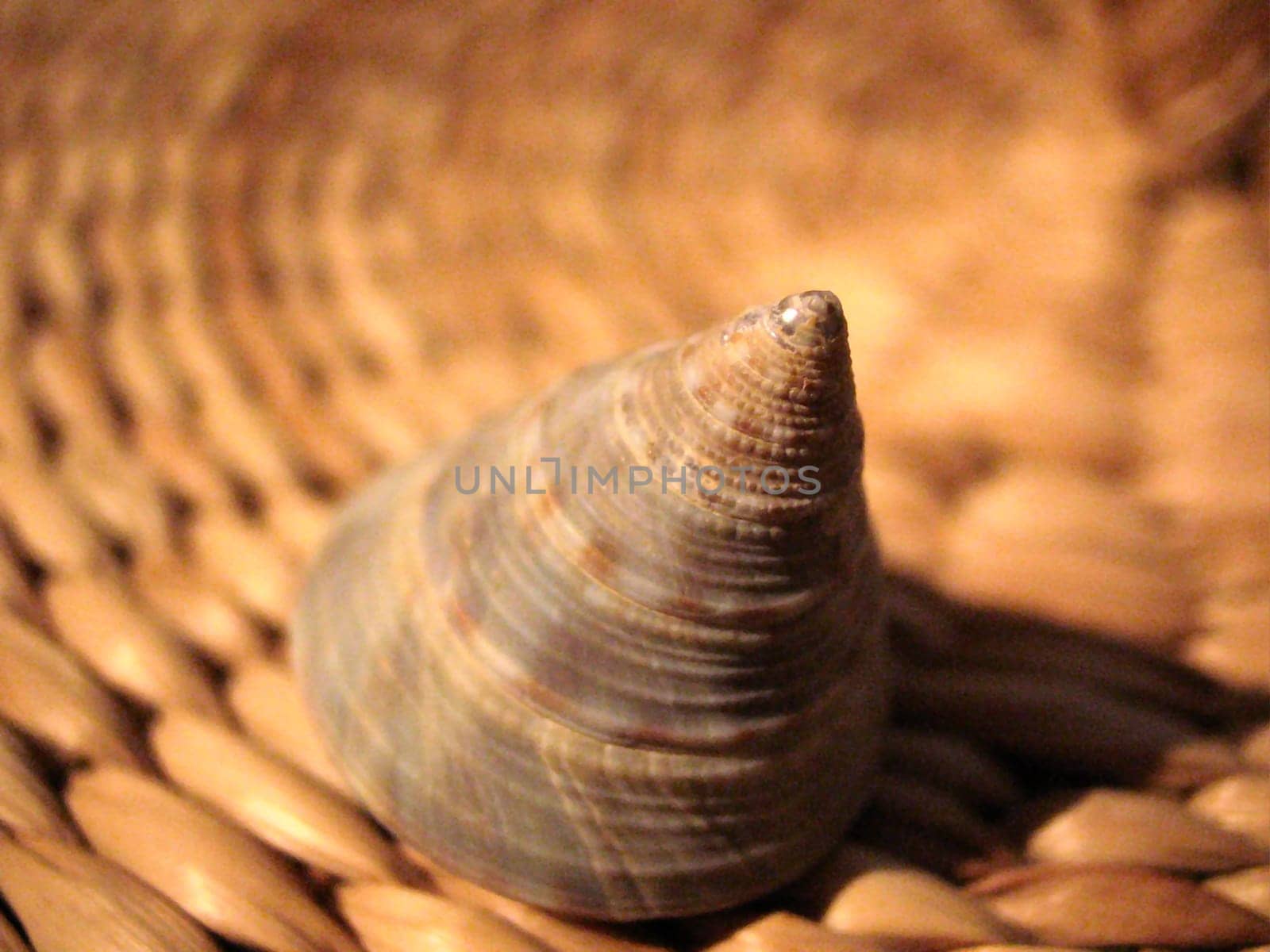 Conical