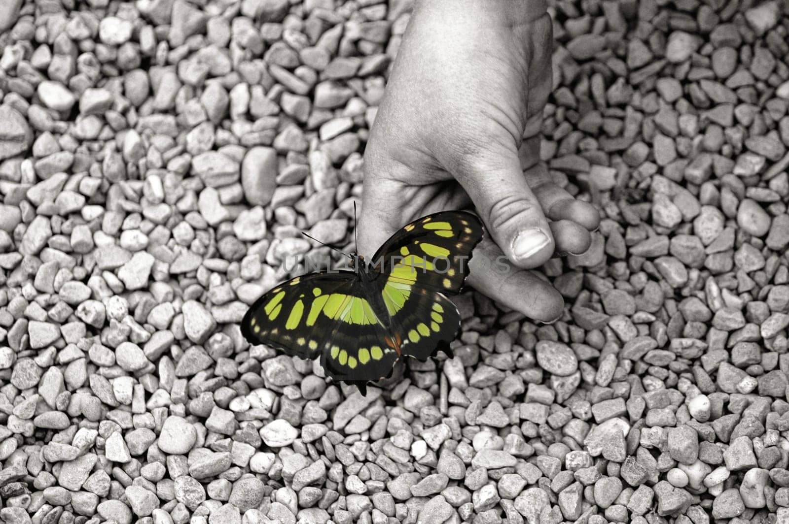 to be free