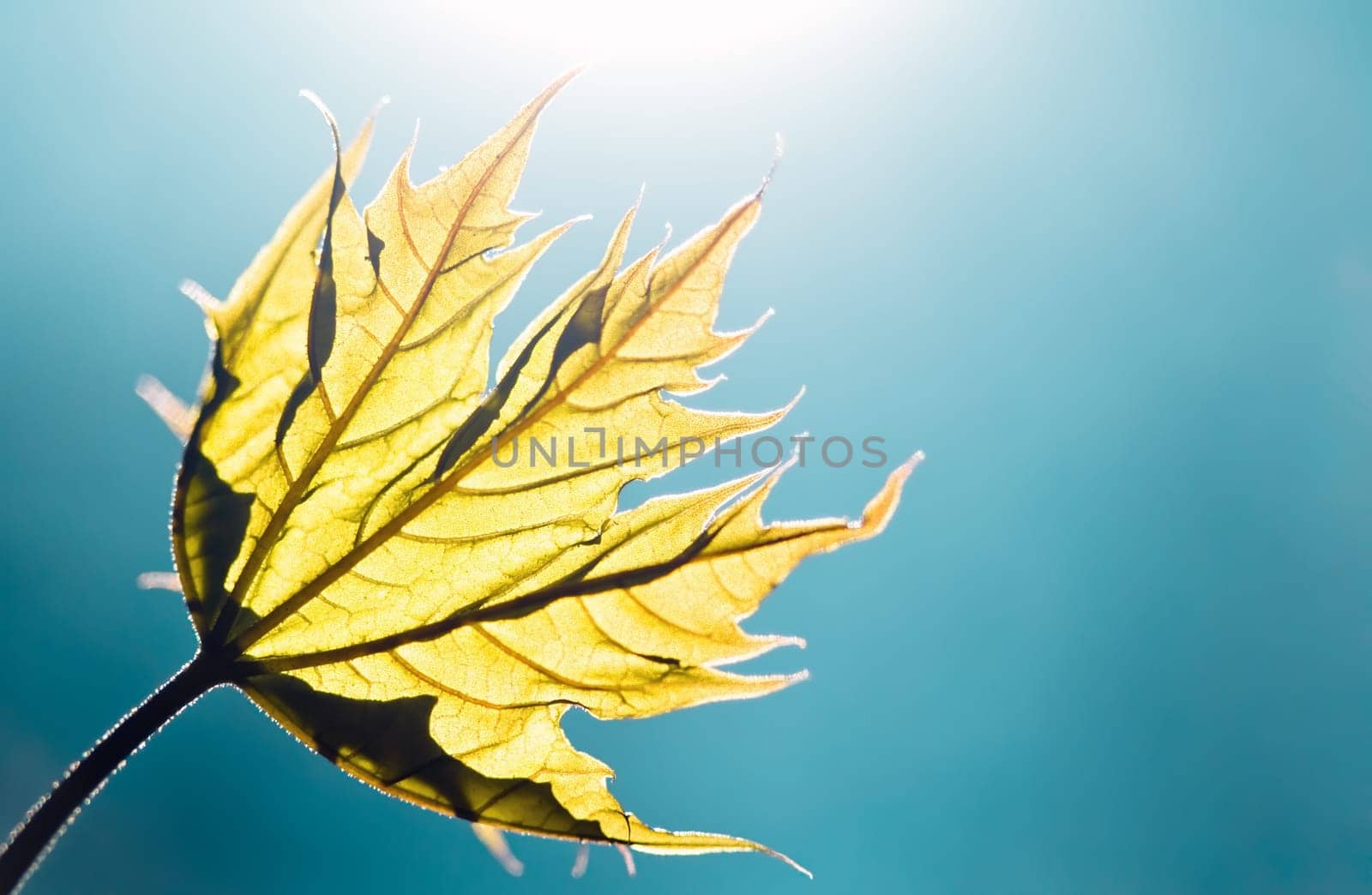 Light