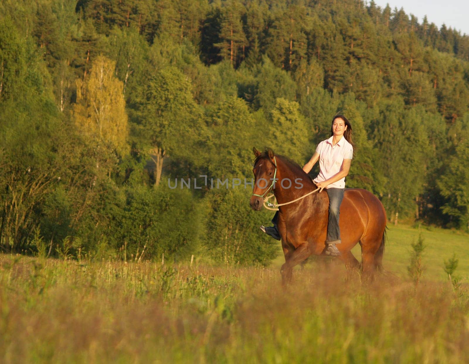 Horseback riding in the countryside