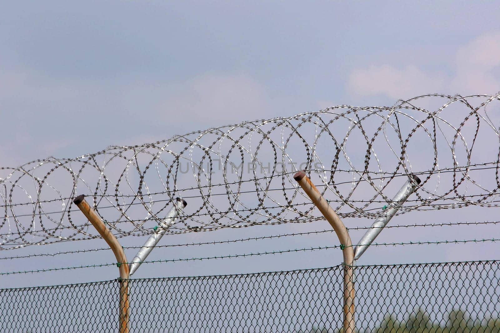 Barbed wire