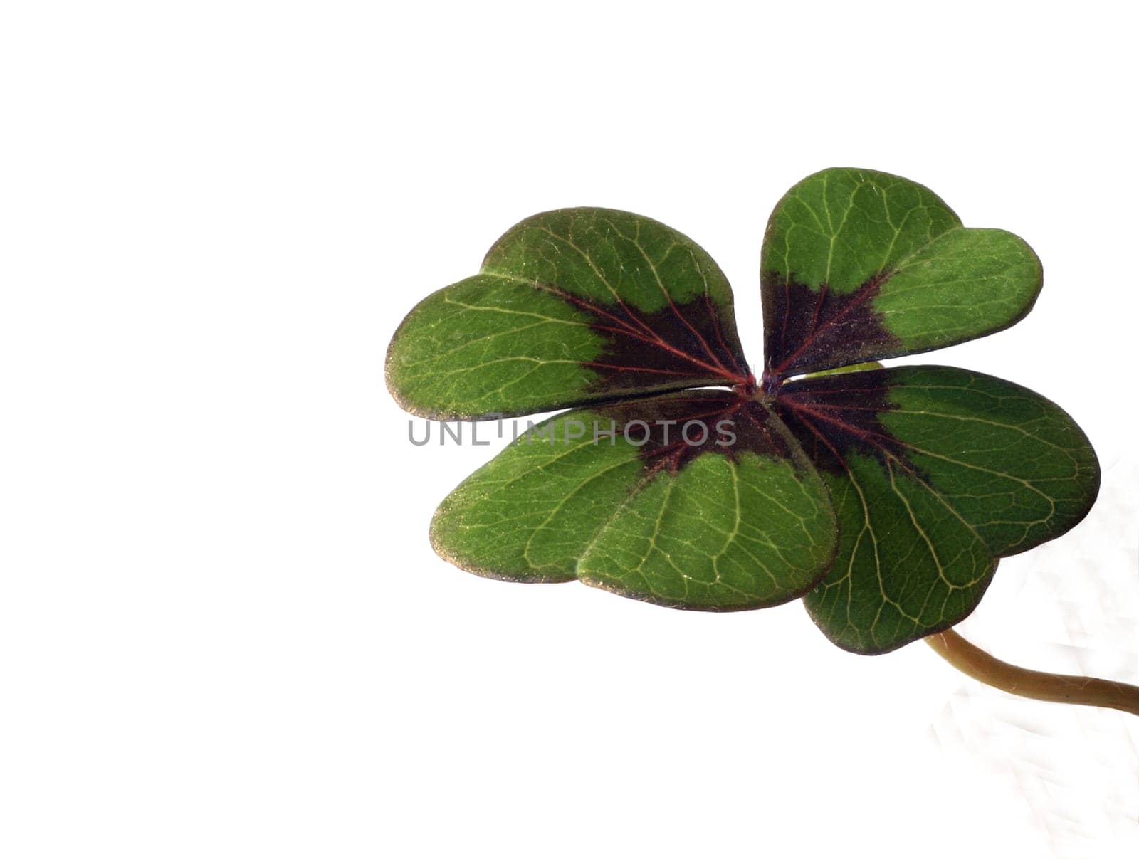 Luck