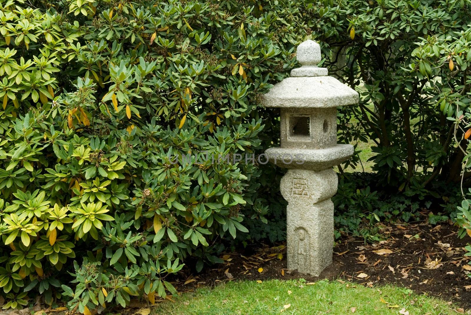 Japanese Lantern