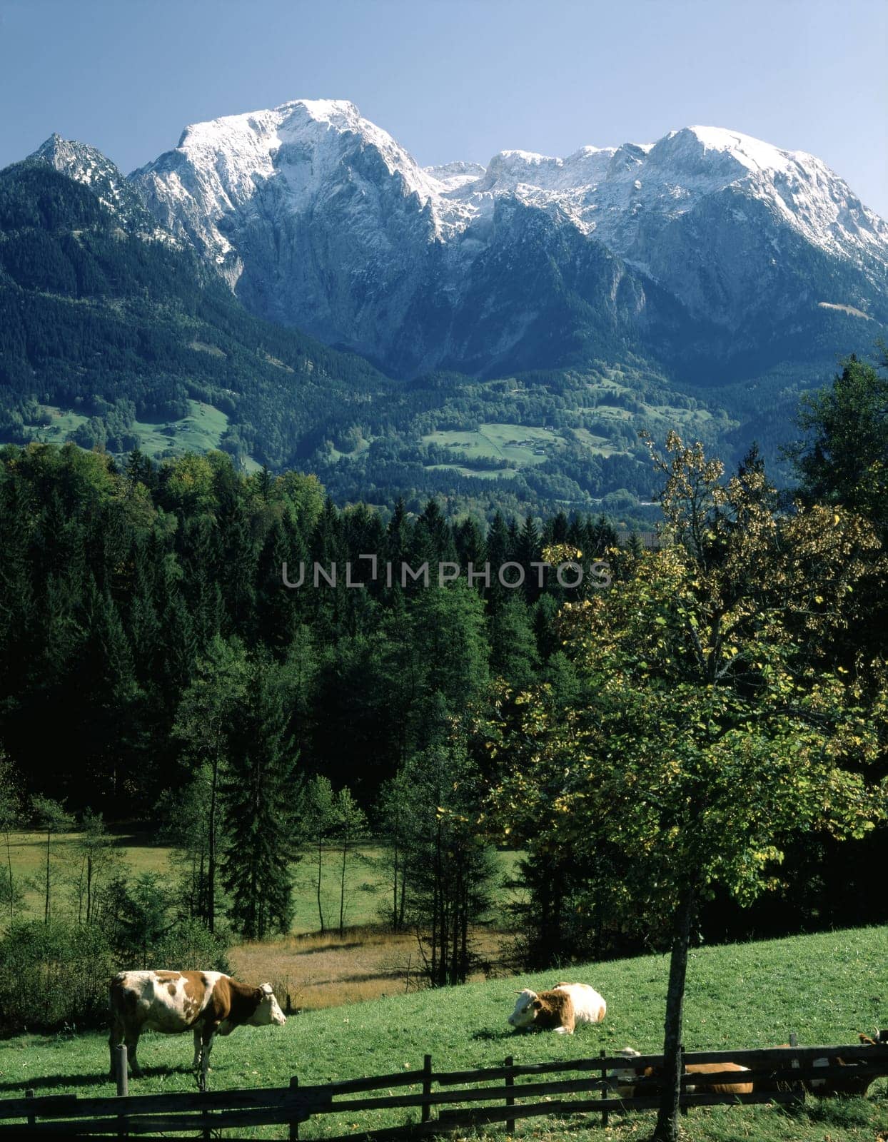 Bavarian Alps