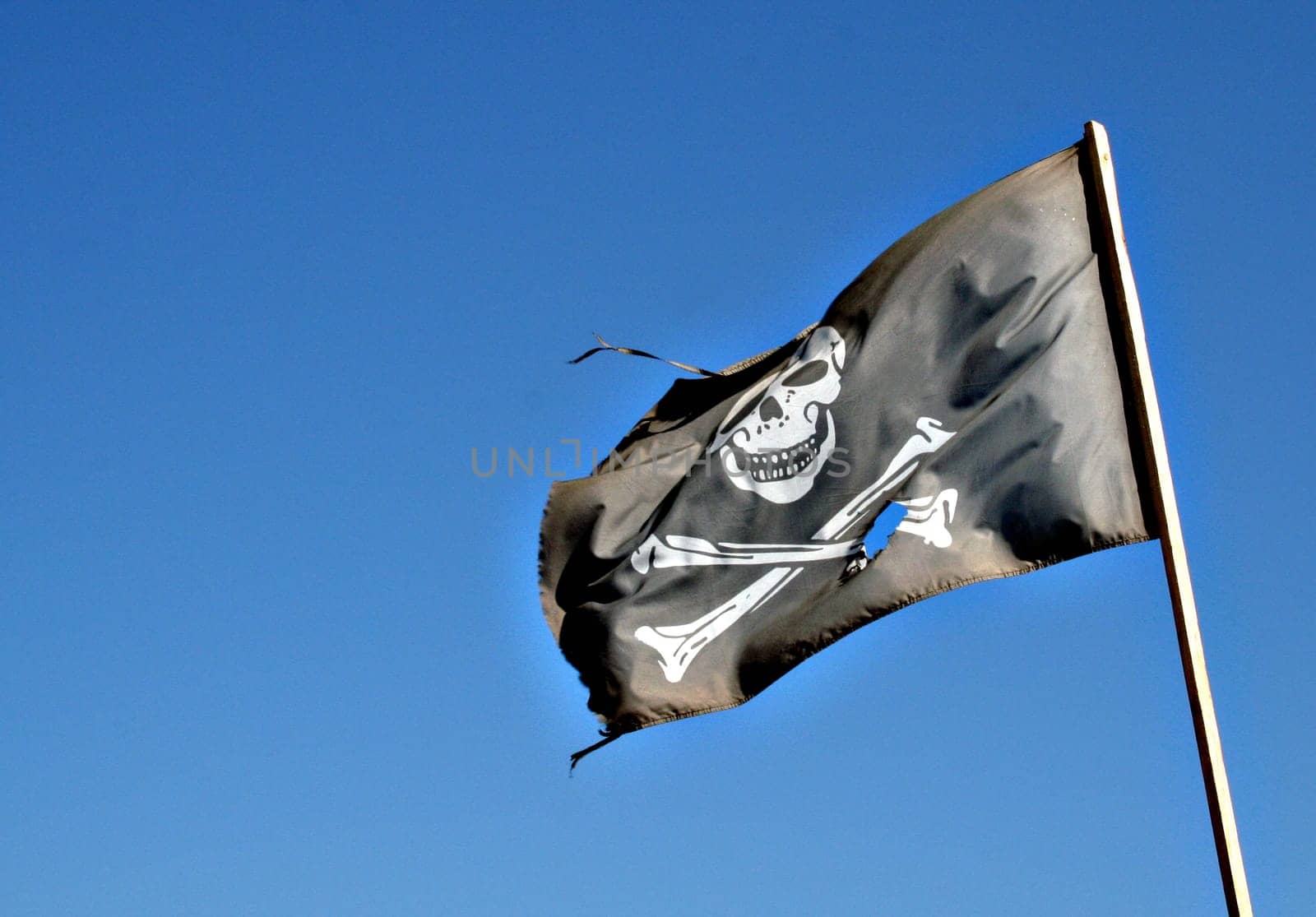 Pirate Flag