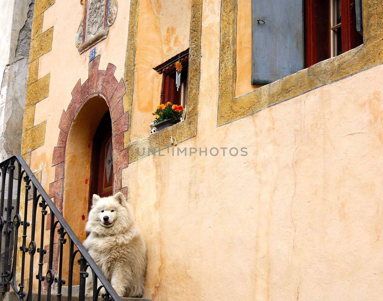 Watchdog
